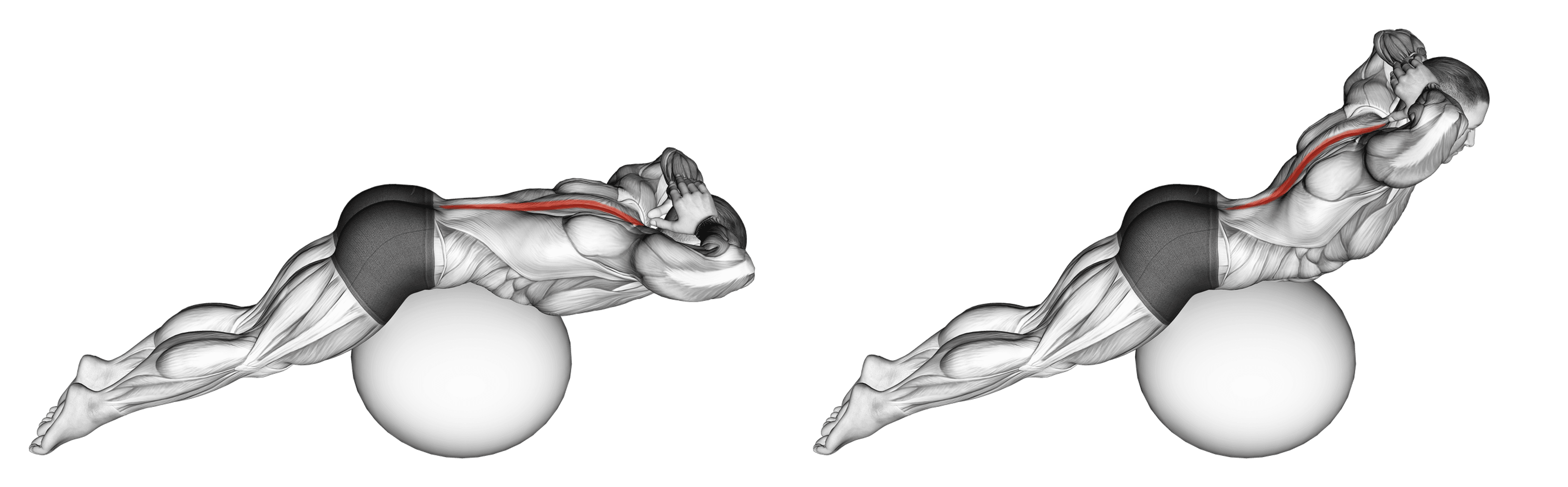 Exercise Ball Back Extension