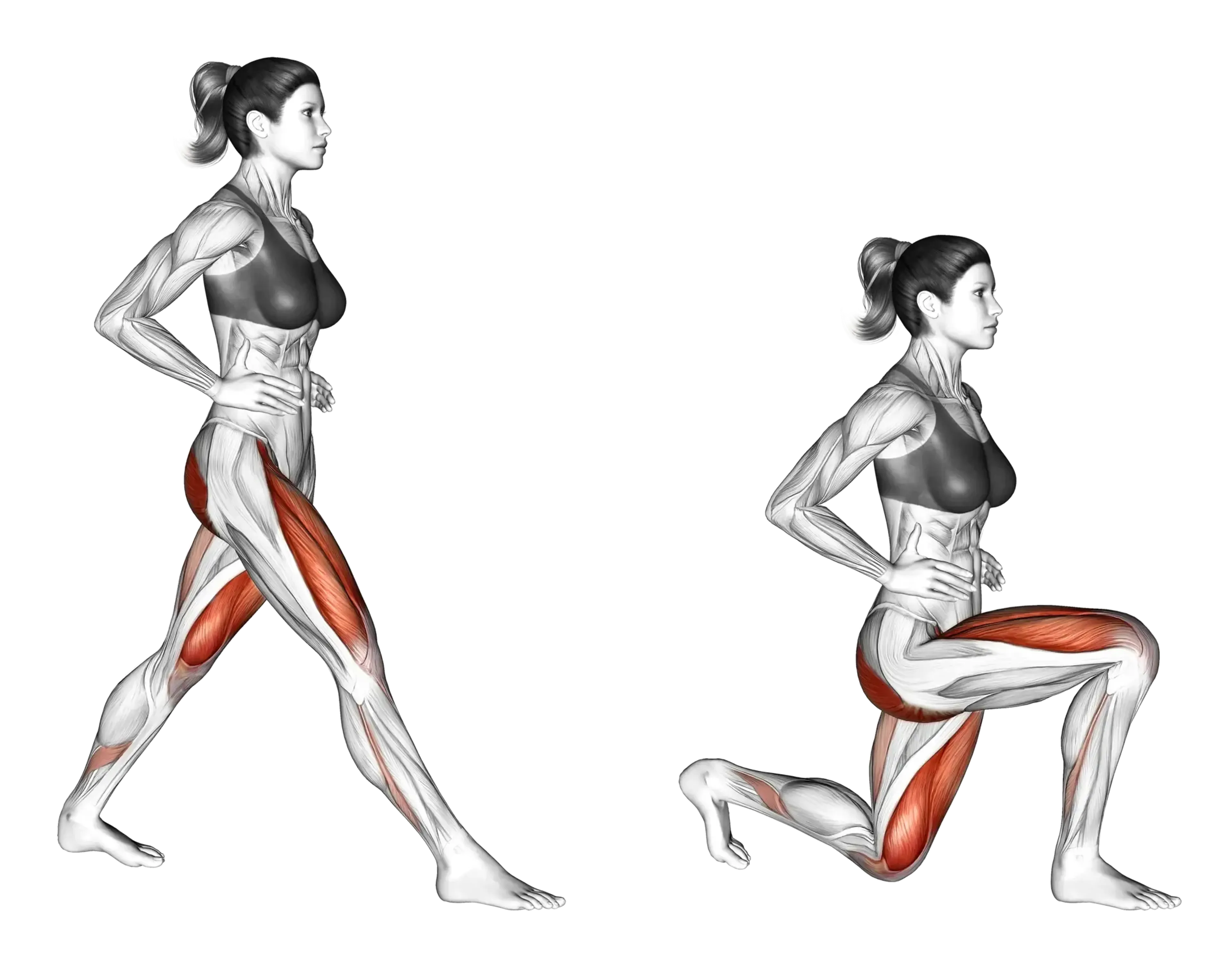 Bodyweight Lunge