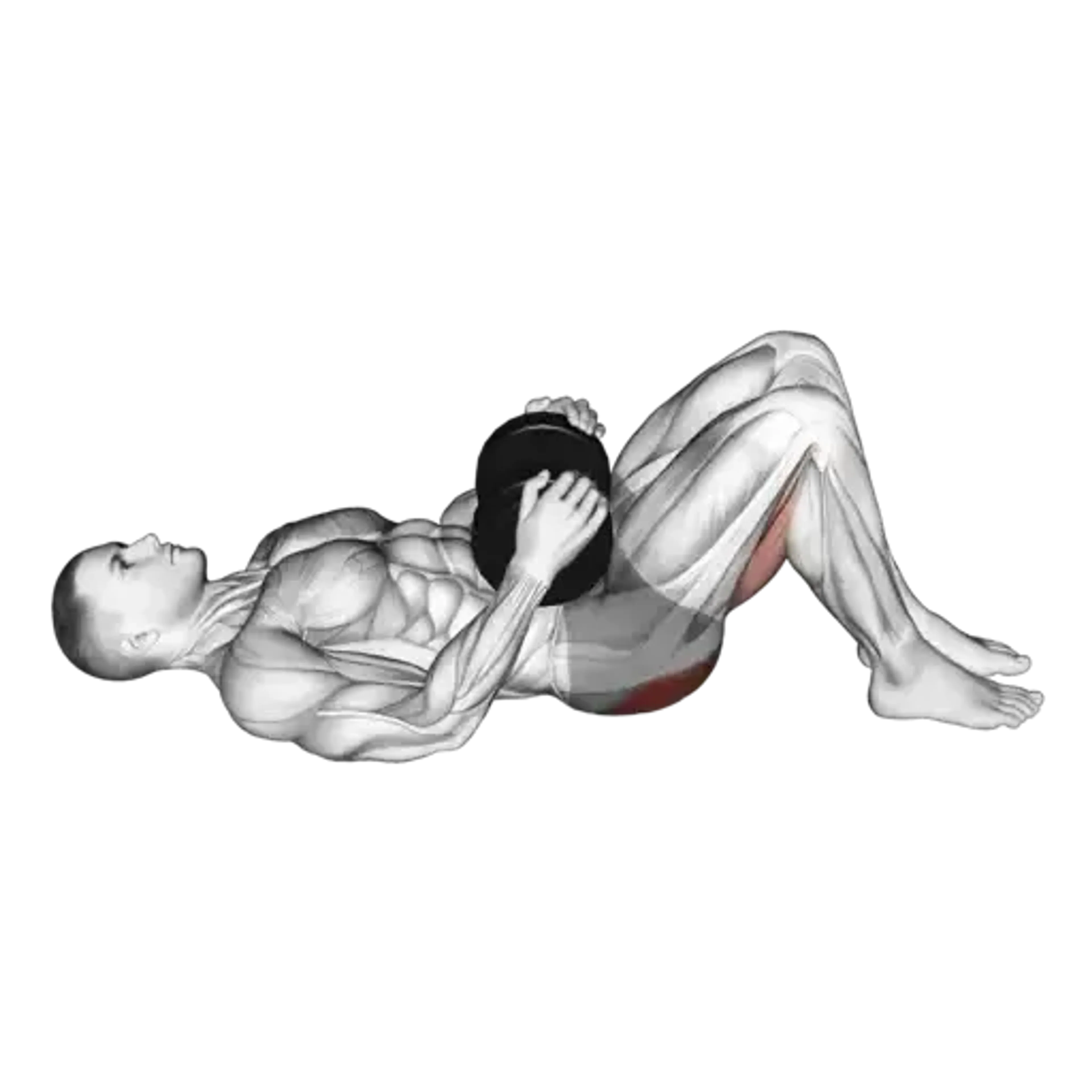 Dumbbell Glute Bridge