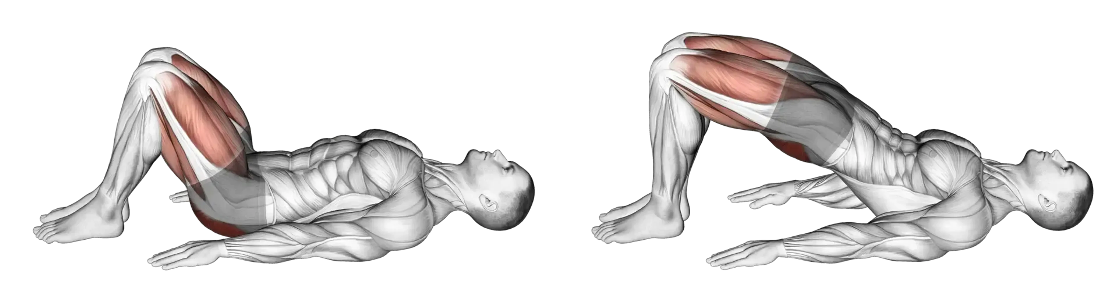 Glute Bridge