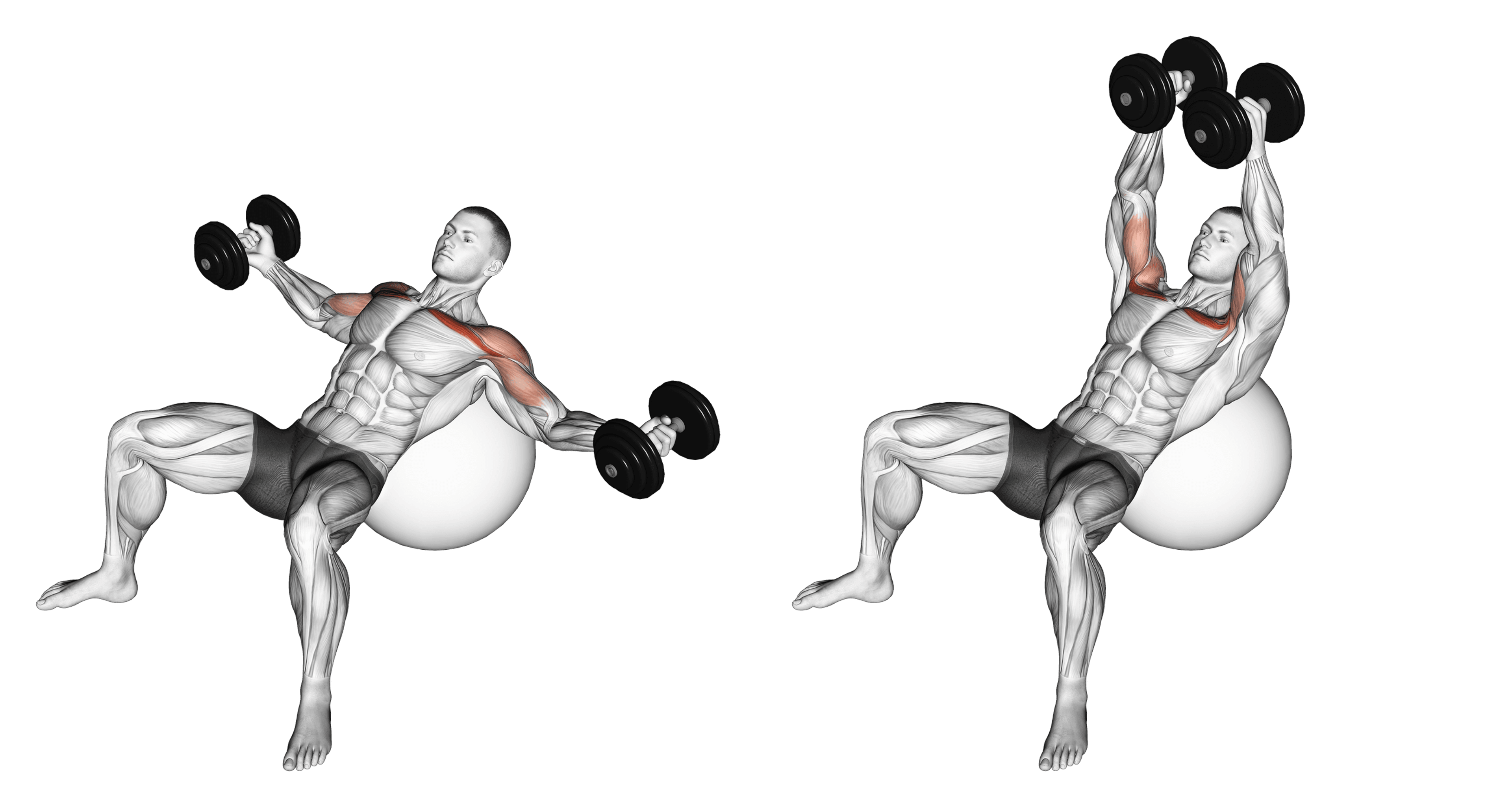 Dumbbell Exercise Ball Incline Fly