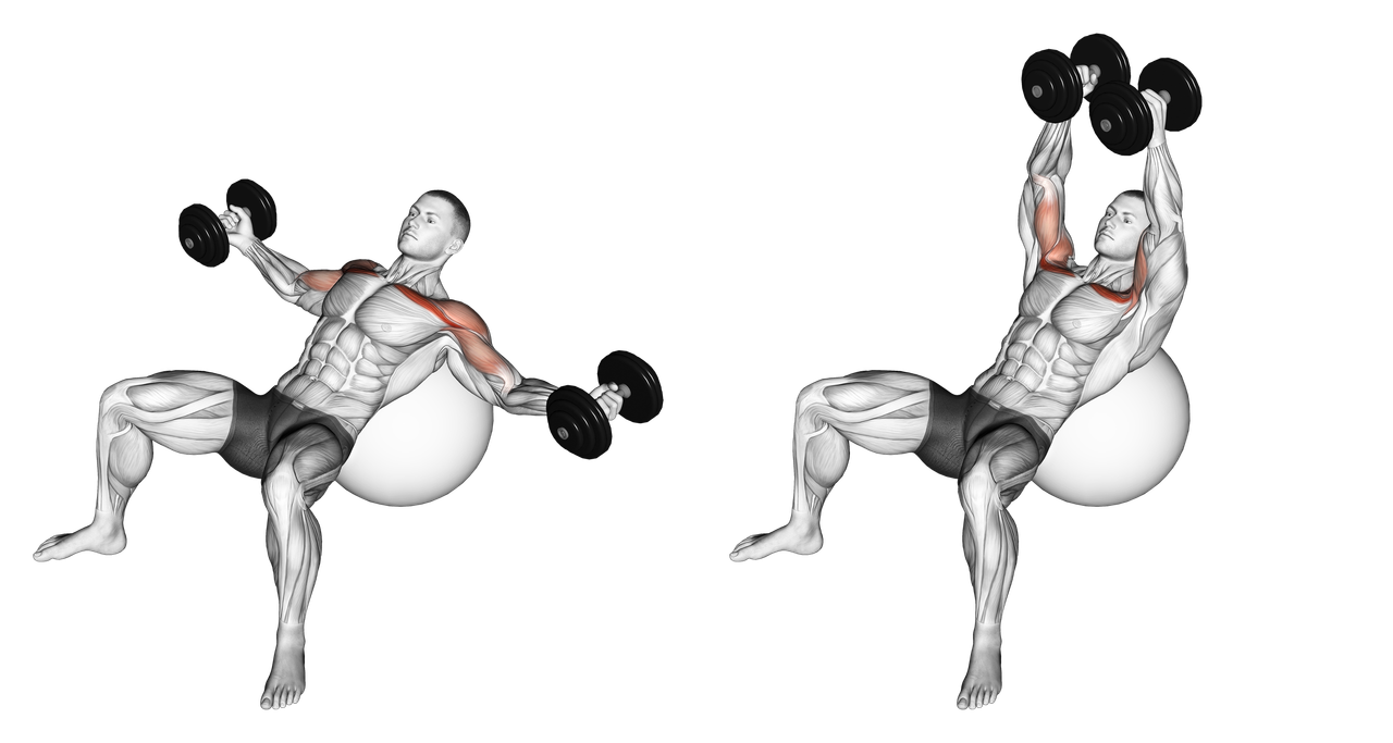 Dumbbell Exercise Ball Incline Fly: Guide, Muscles Worked, Tips | Athlemove