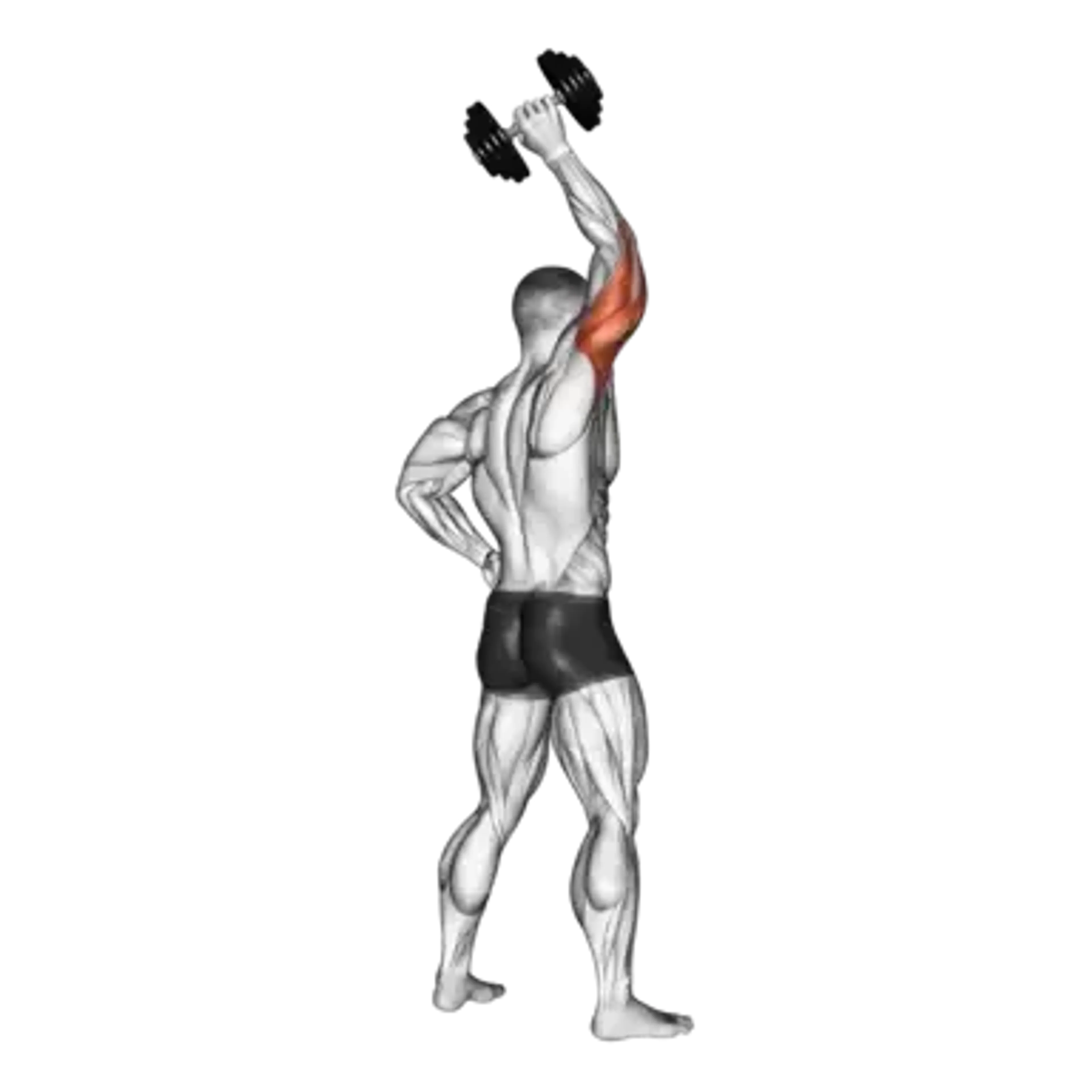 Dumbbell Single-Arm Tricep Extension