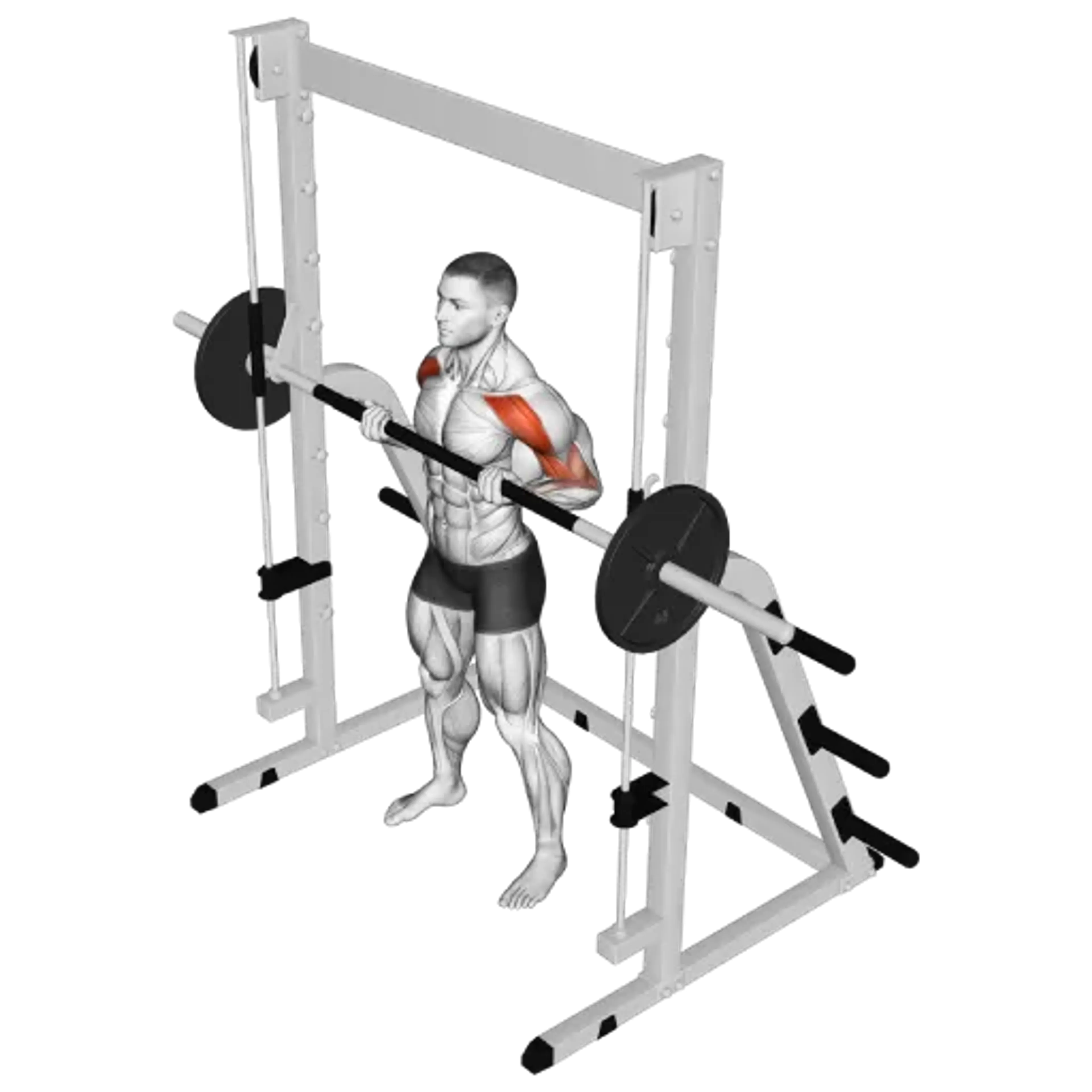 Smith Machine Drag Curl