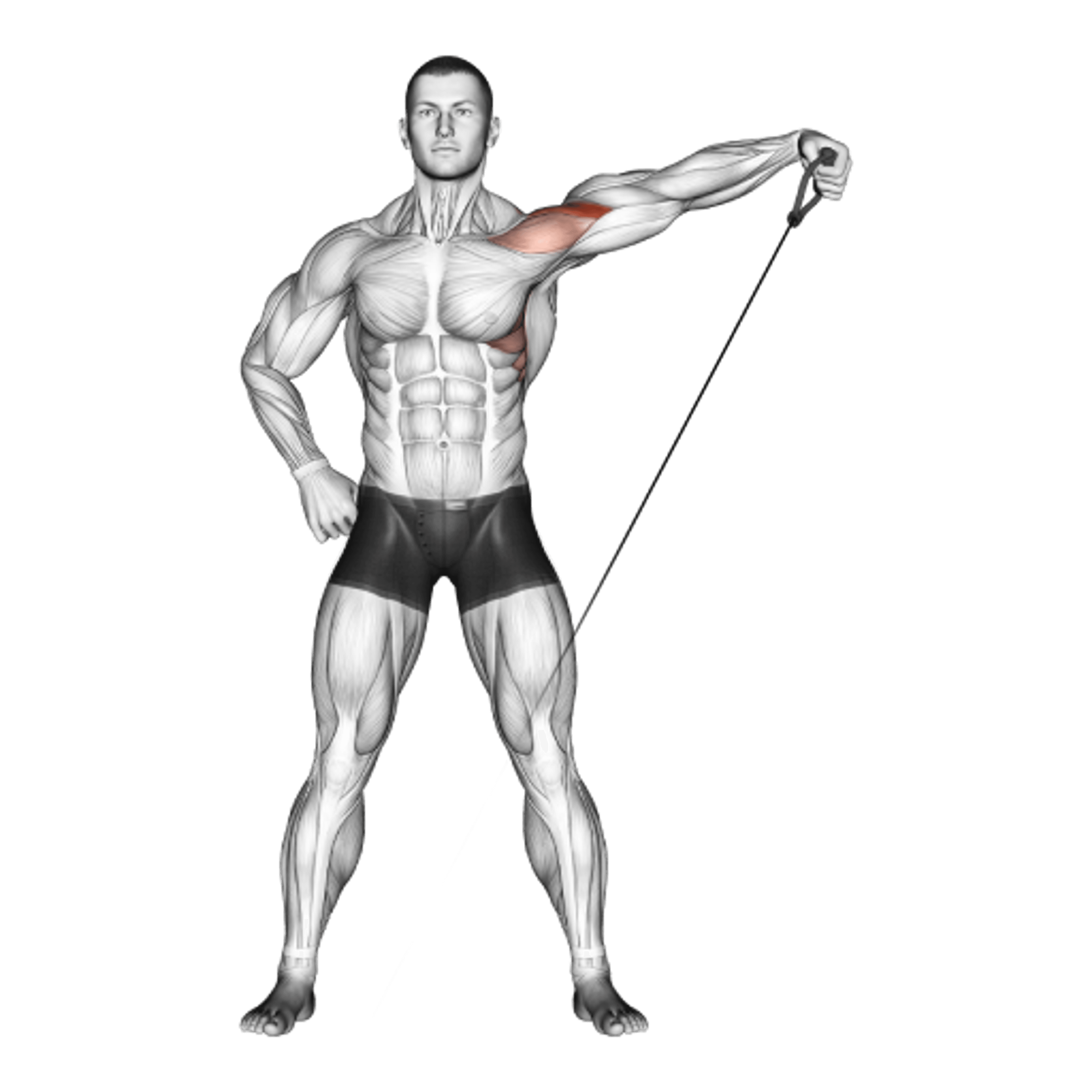 Cable Single-Arm Lateral Raise