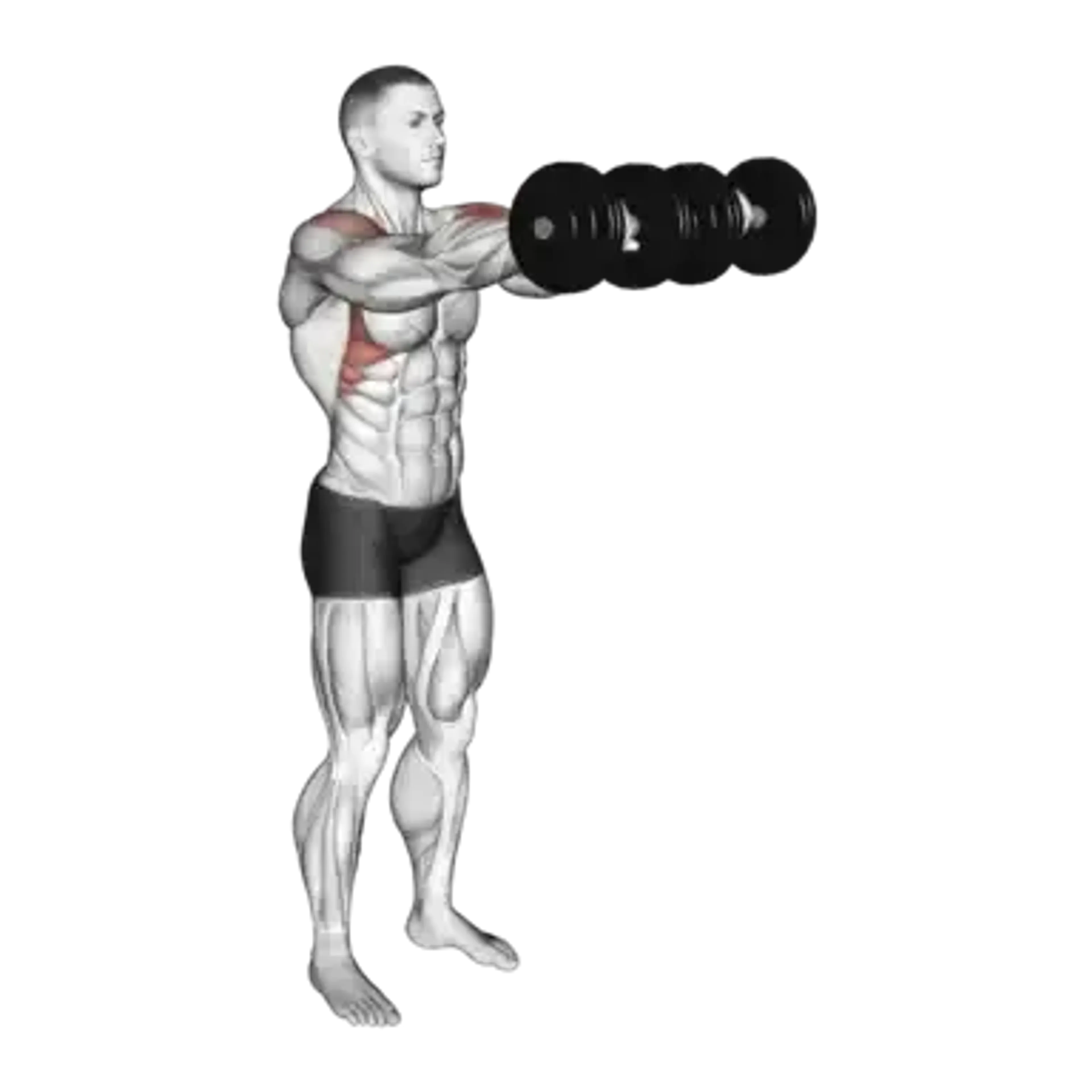 Dumbbell Front Raise