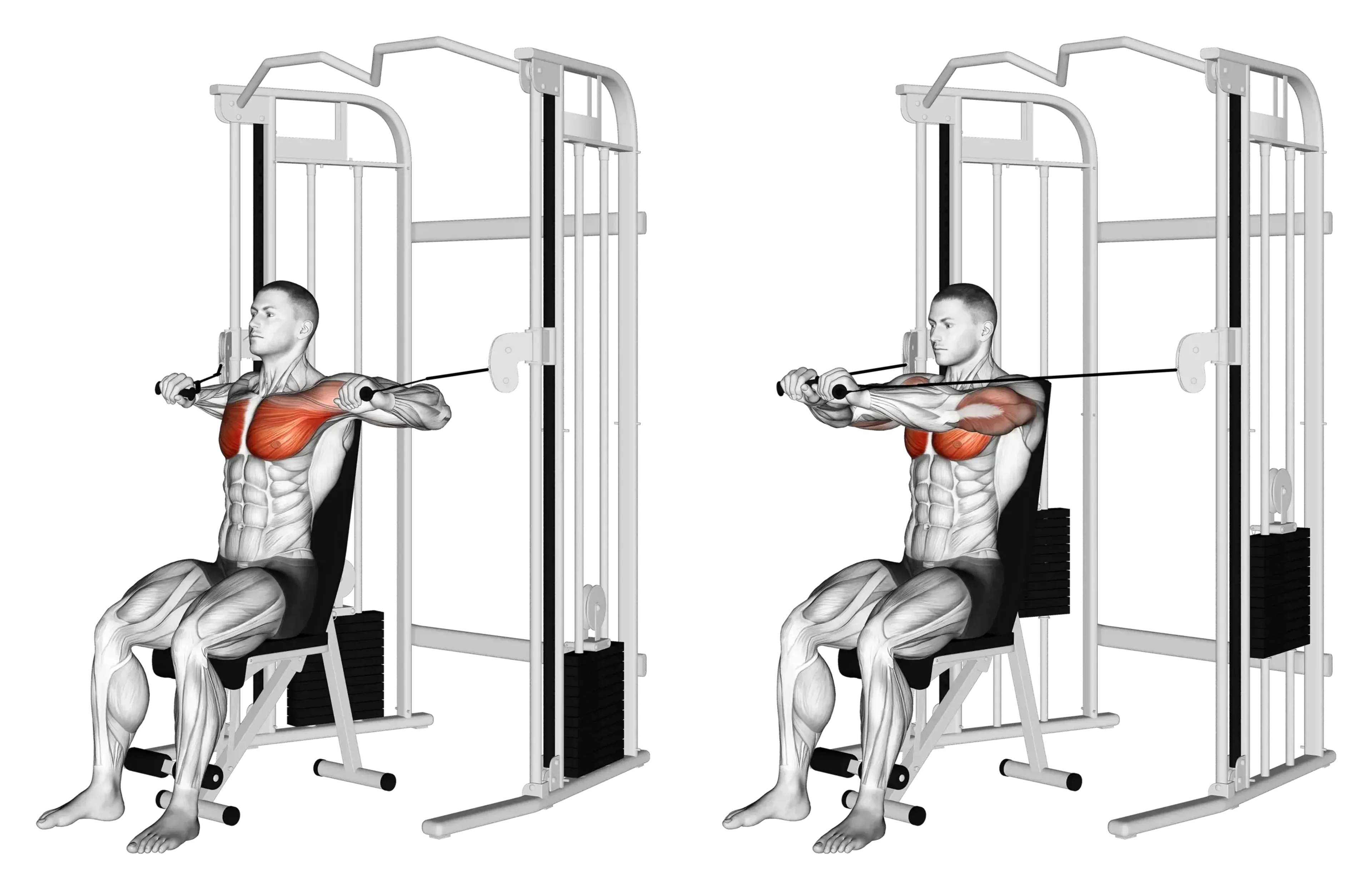 Cable Seated Chest Press