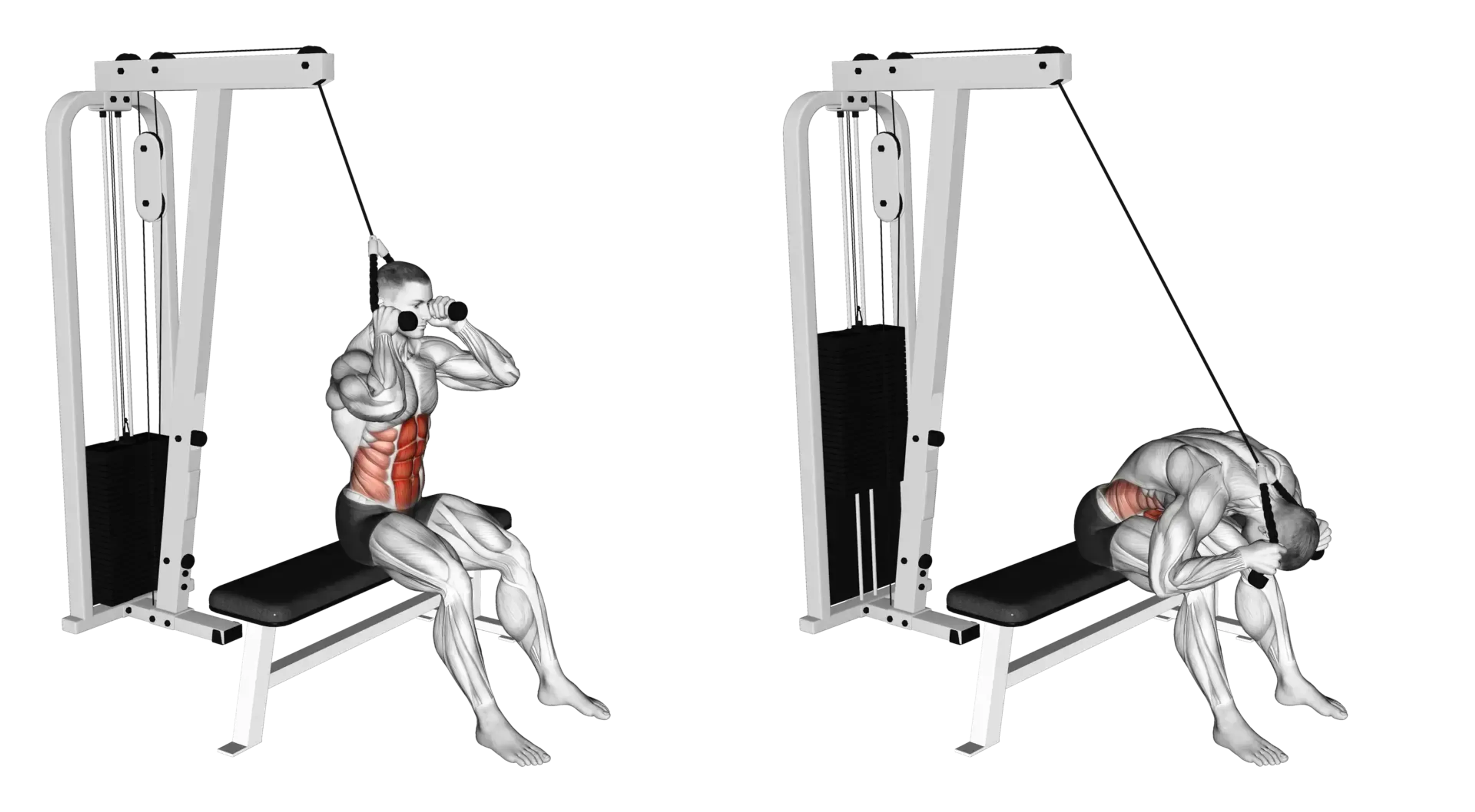 Cable Seated Crunch
