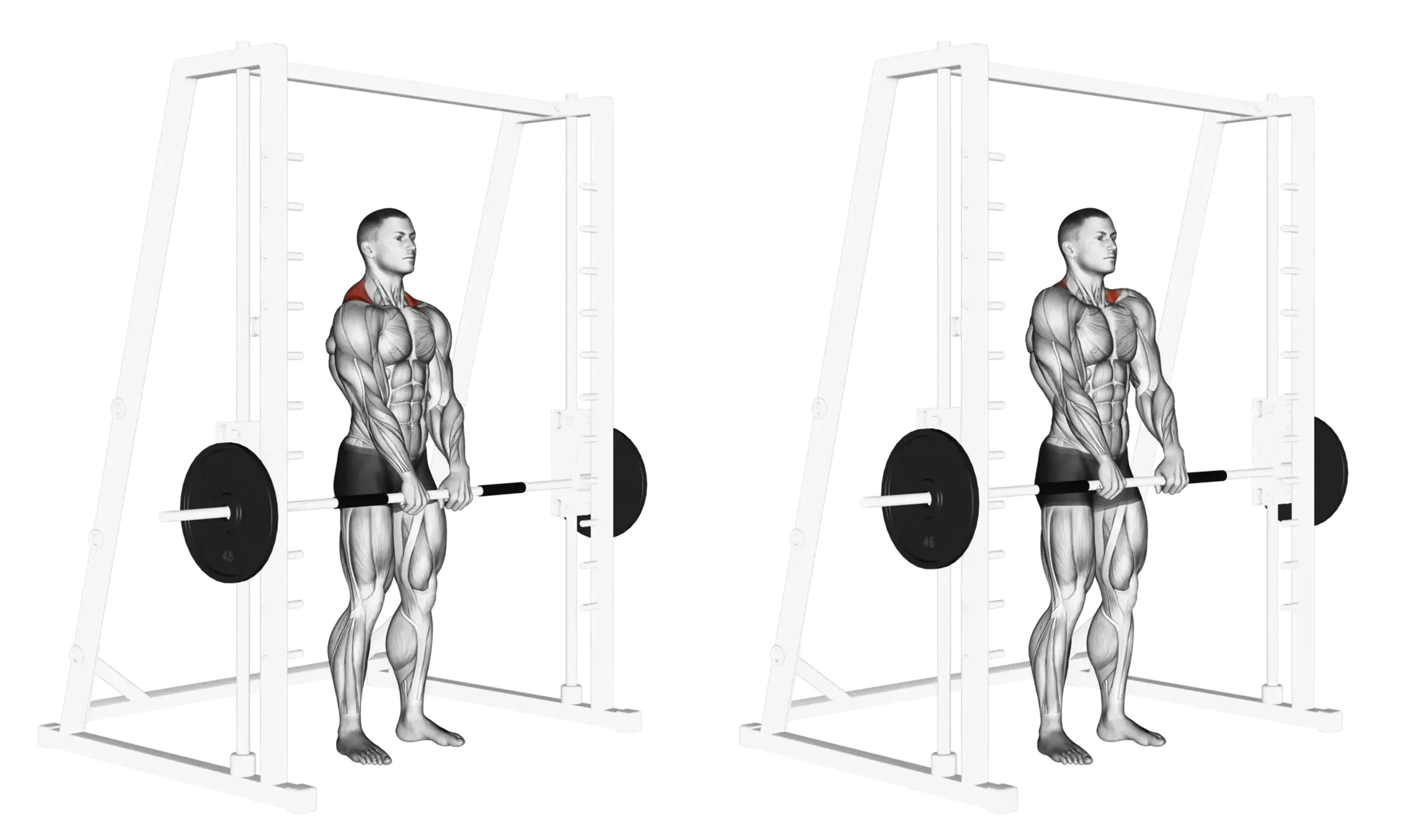Smith Machine Shrug