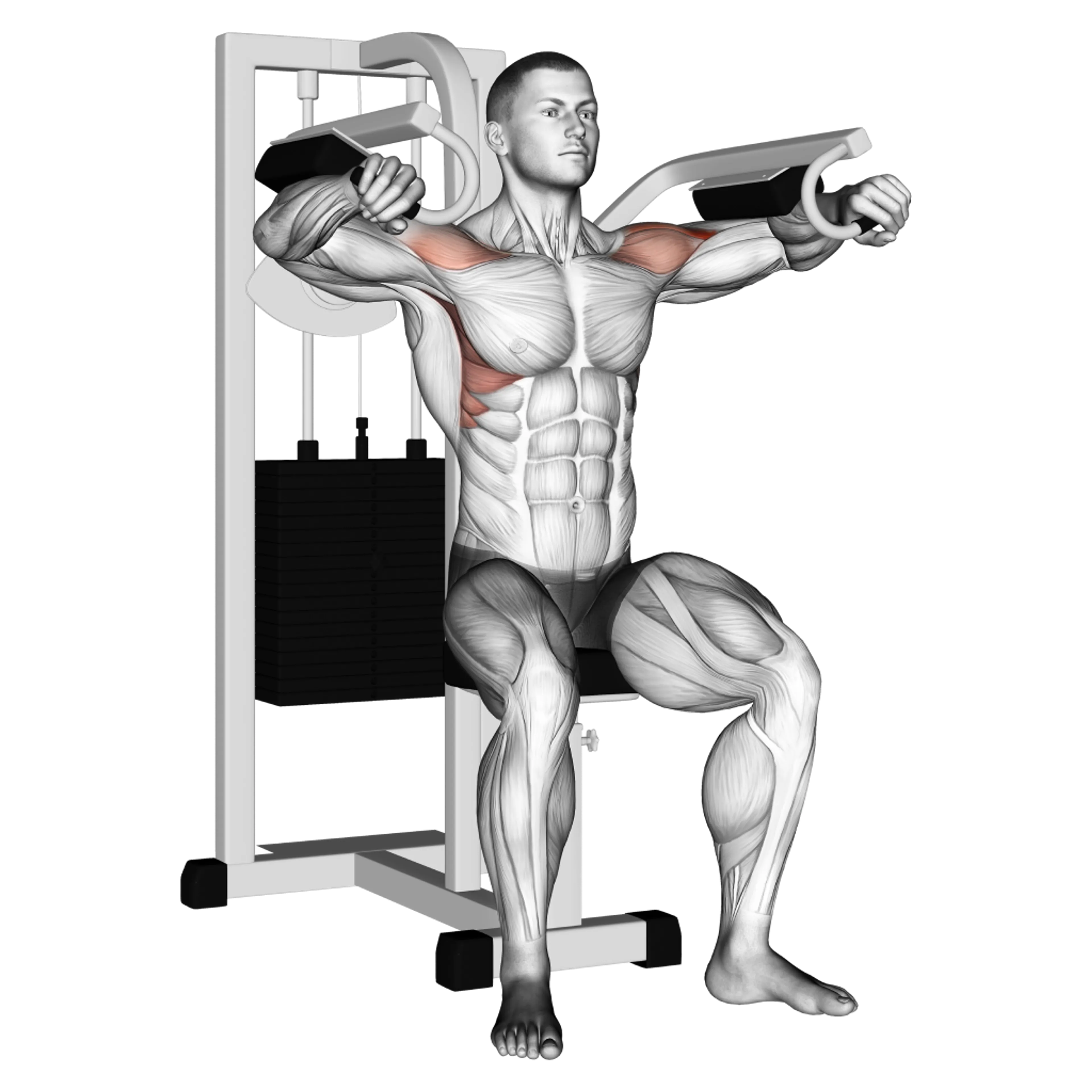 Machine Lateral Raise