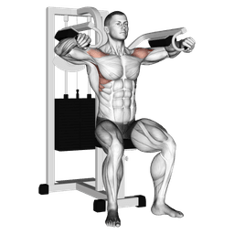 Cable Lateral Raise: Guide, Muscles Worked, Tips | Athlemove