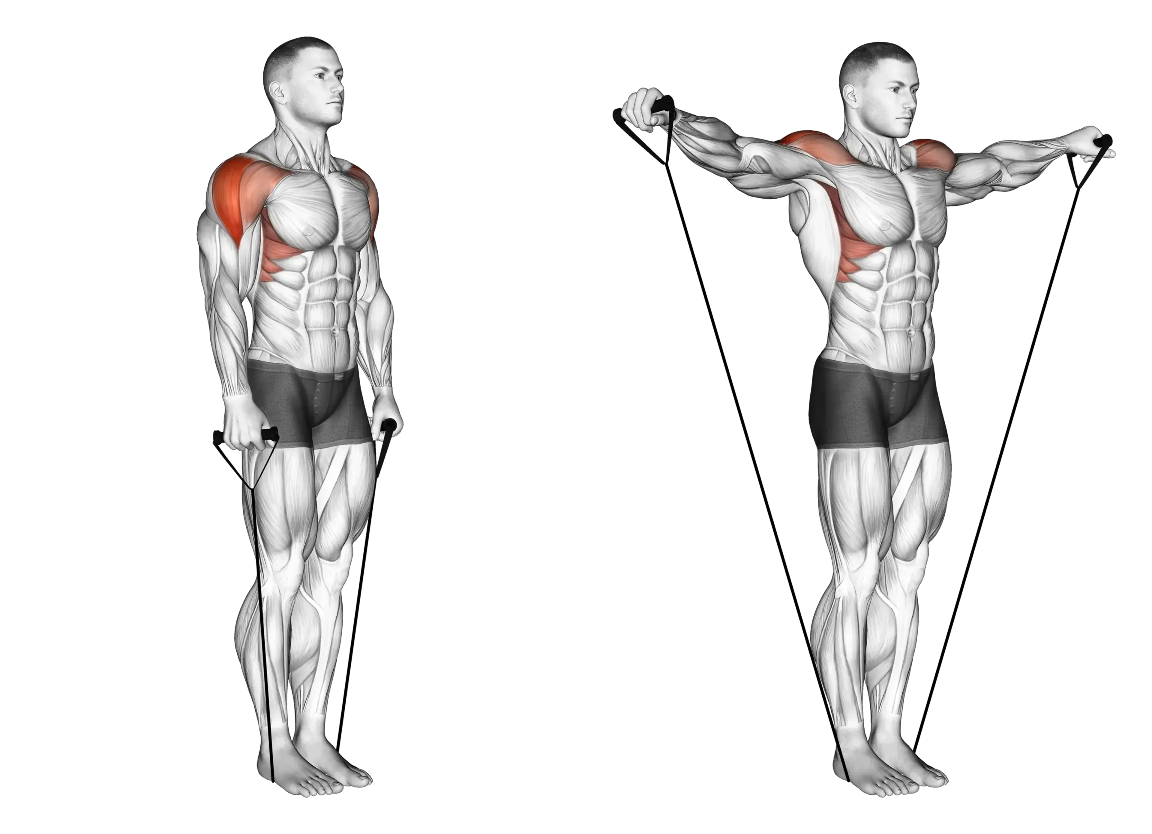 Band Lateral Raise