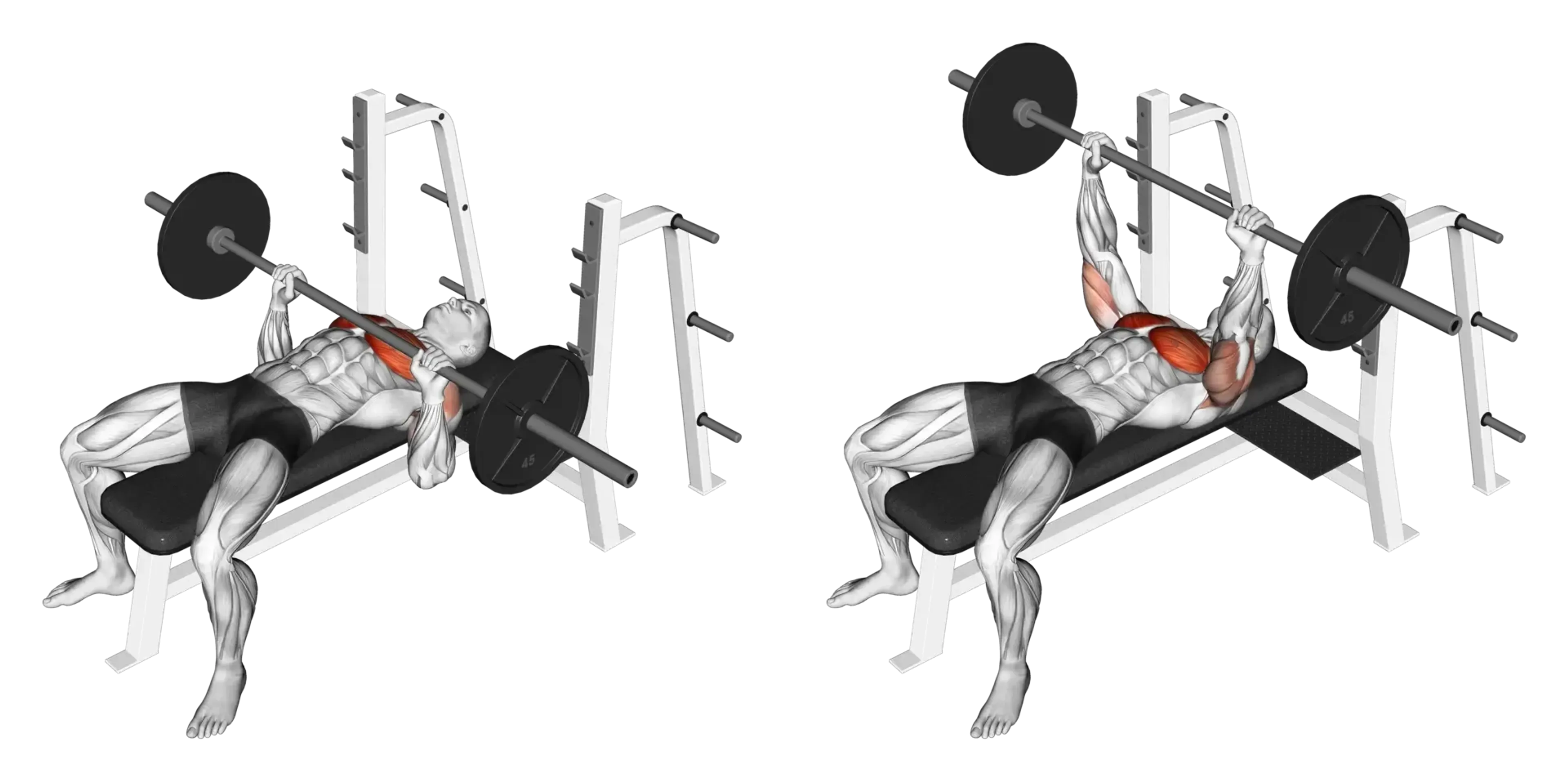 Barbell Bench Press