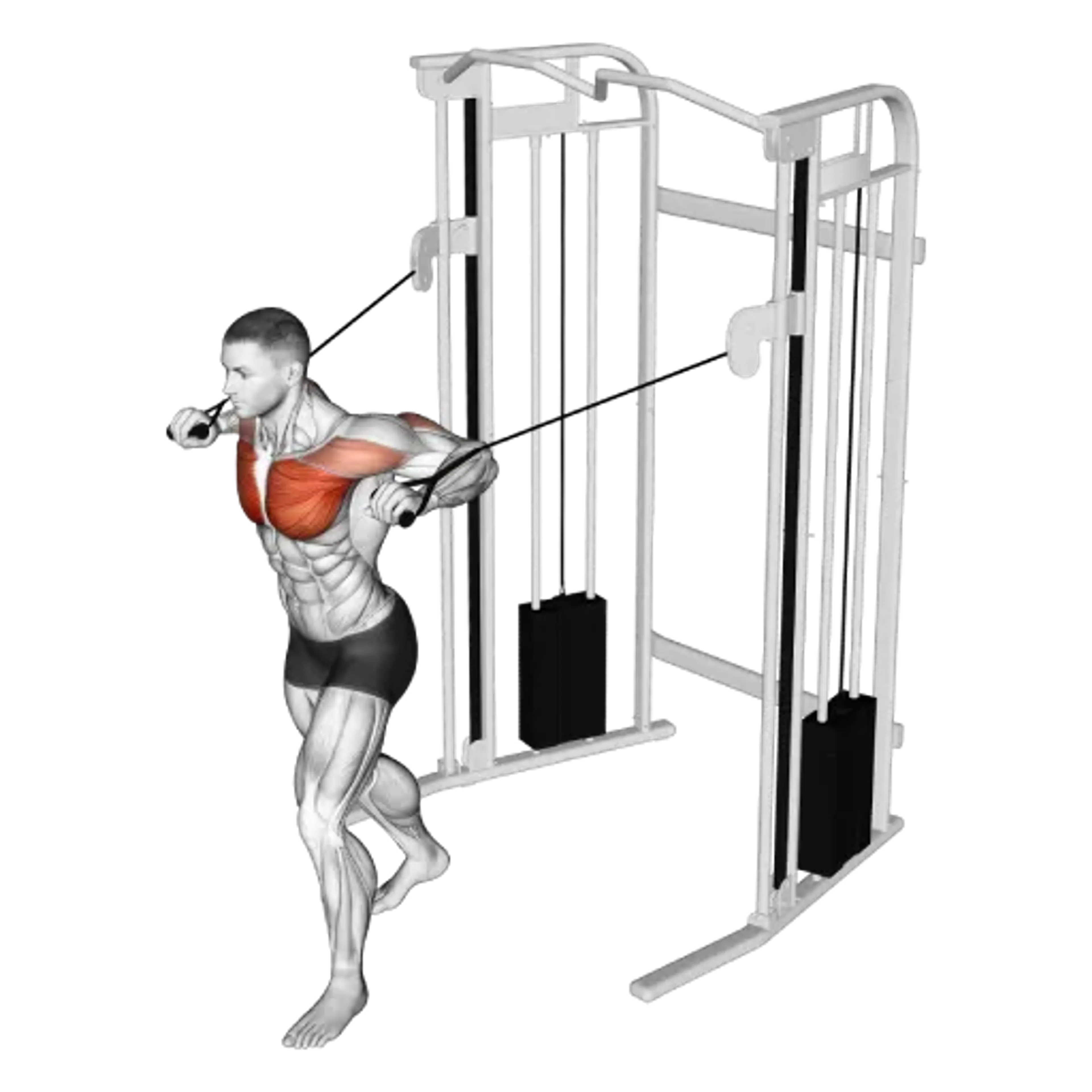 Cable Standing Chest Press