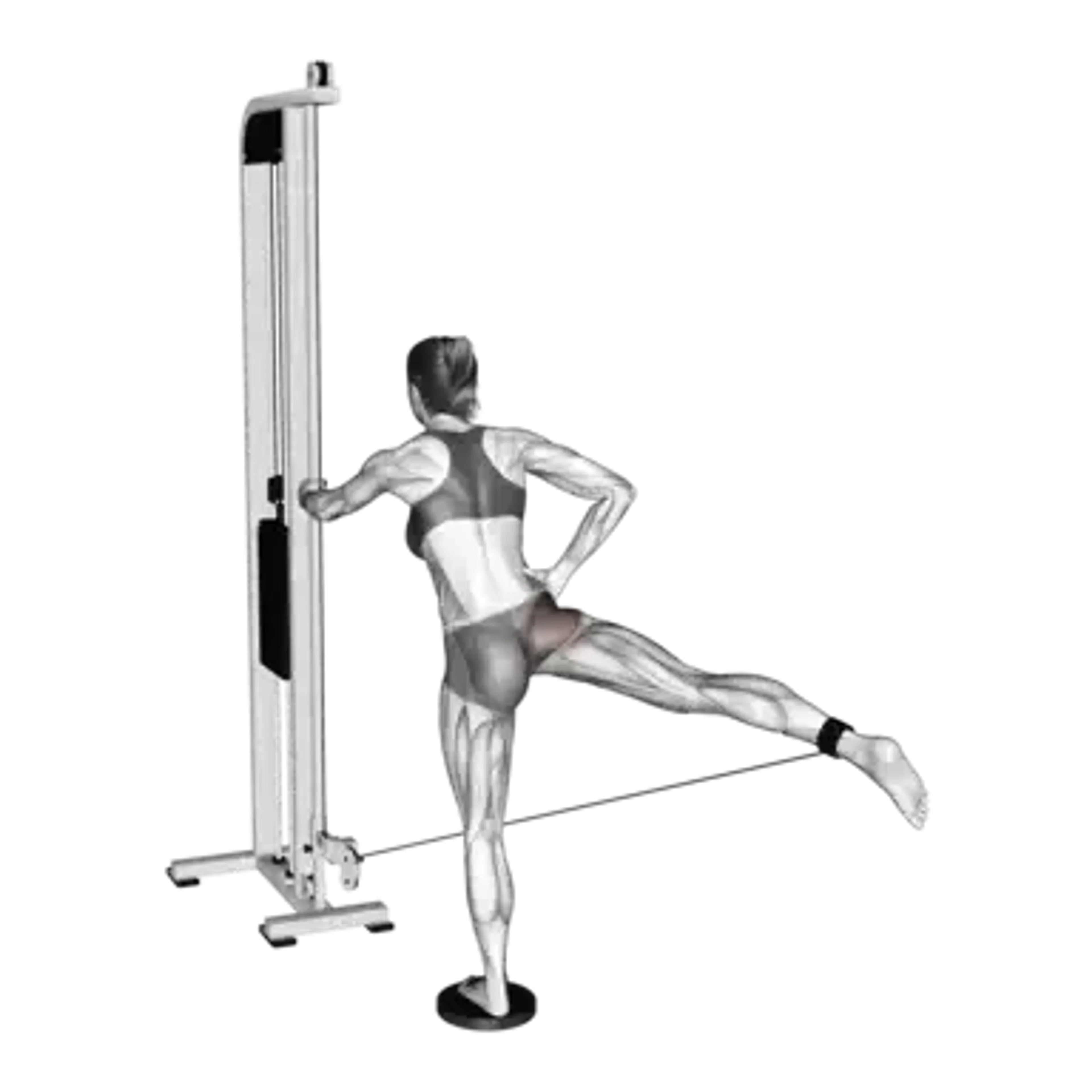 Cable Diagonal Kickback