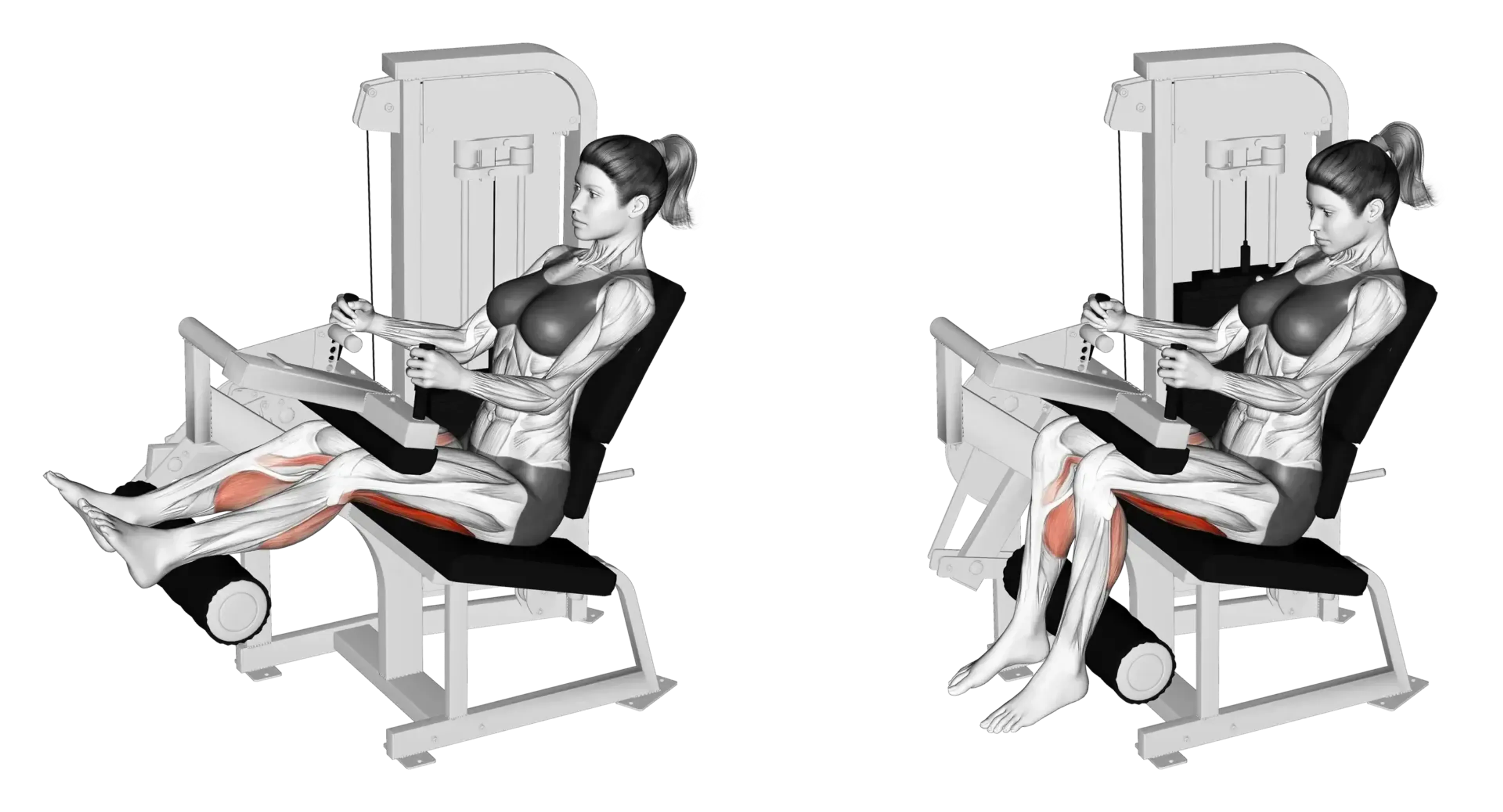 Machine Seated Leg Curl