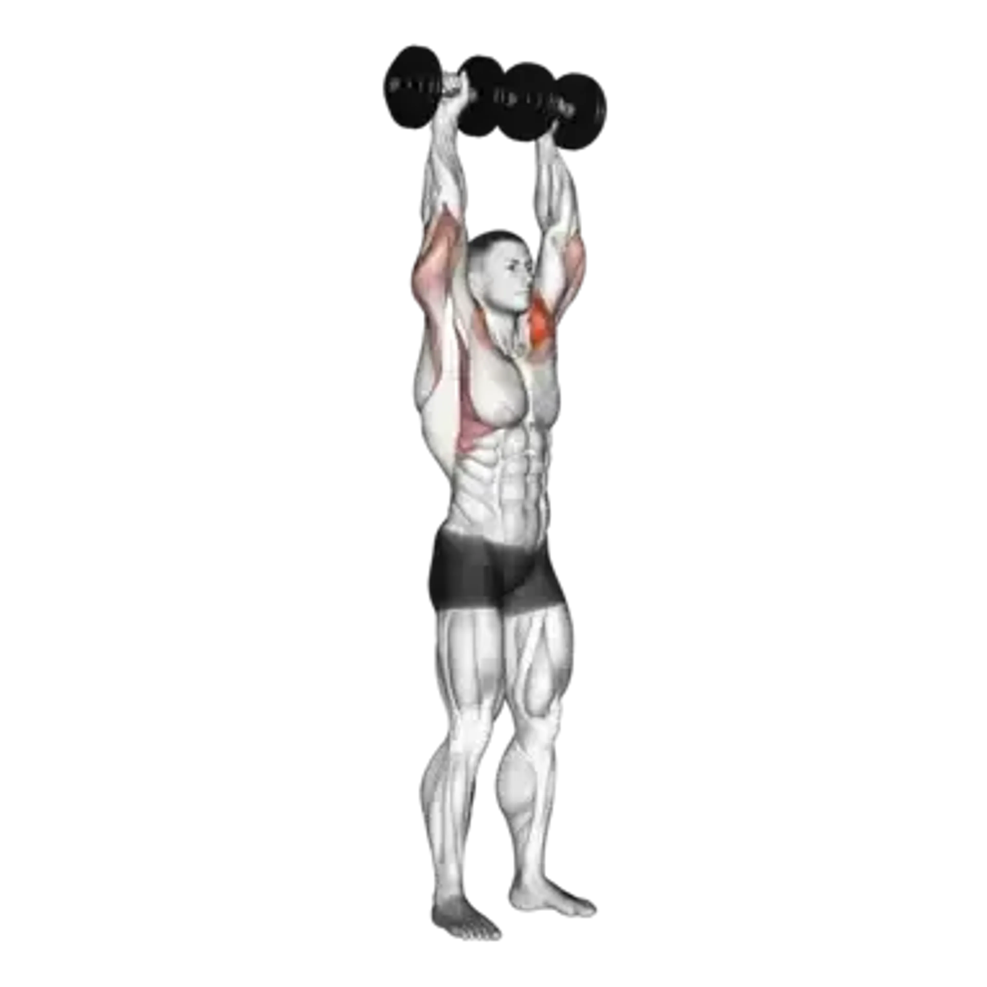 Dumbbell Standing Shoulder Press