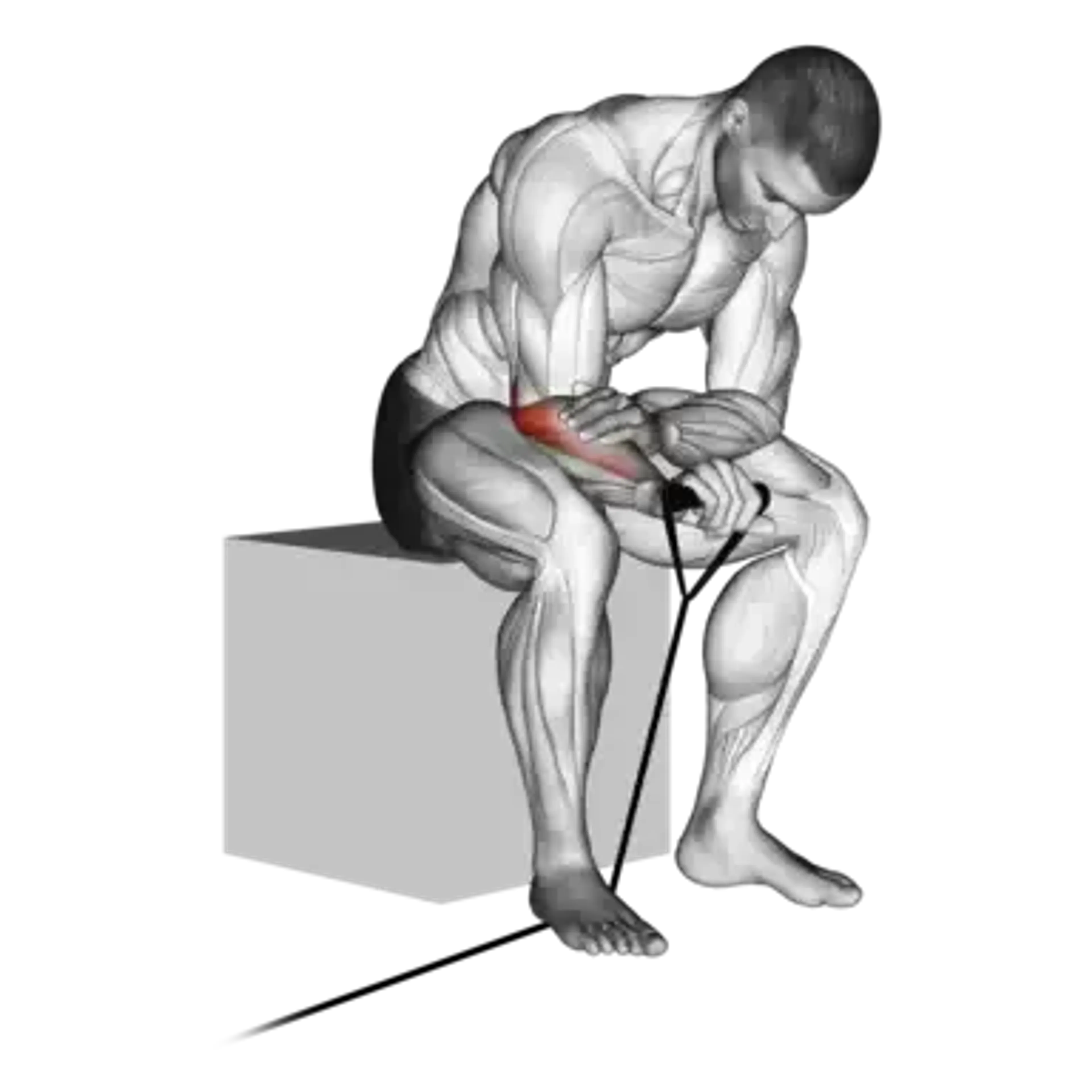 Band Palms-Down Wrist Curl