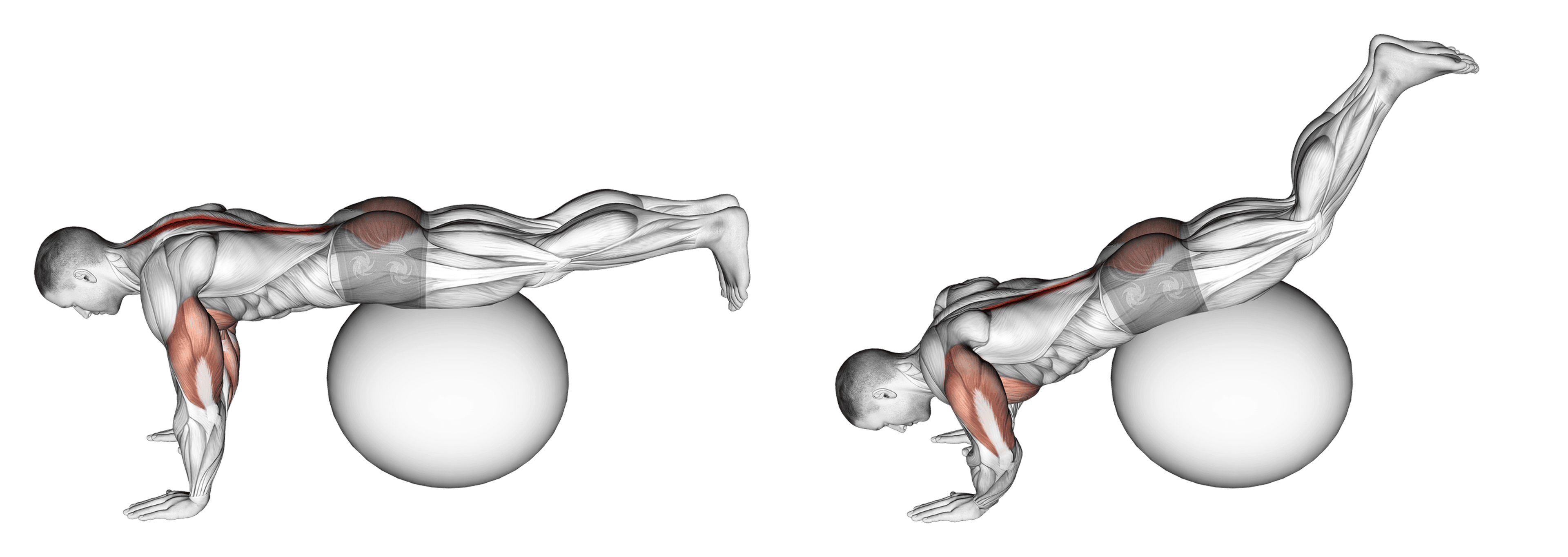 Exercise Ball Prone Leg Raise