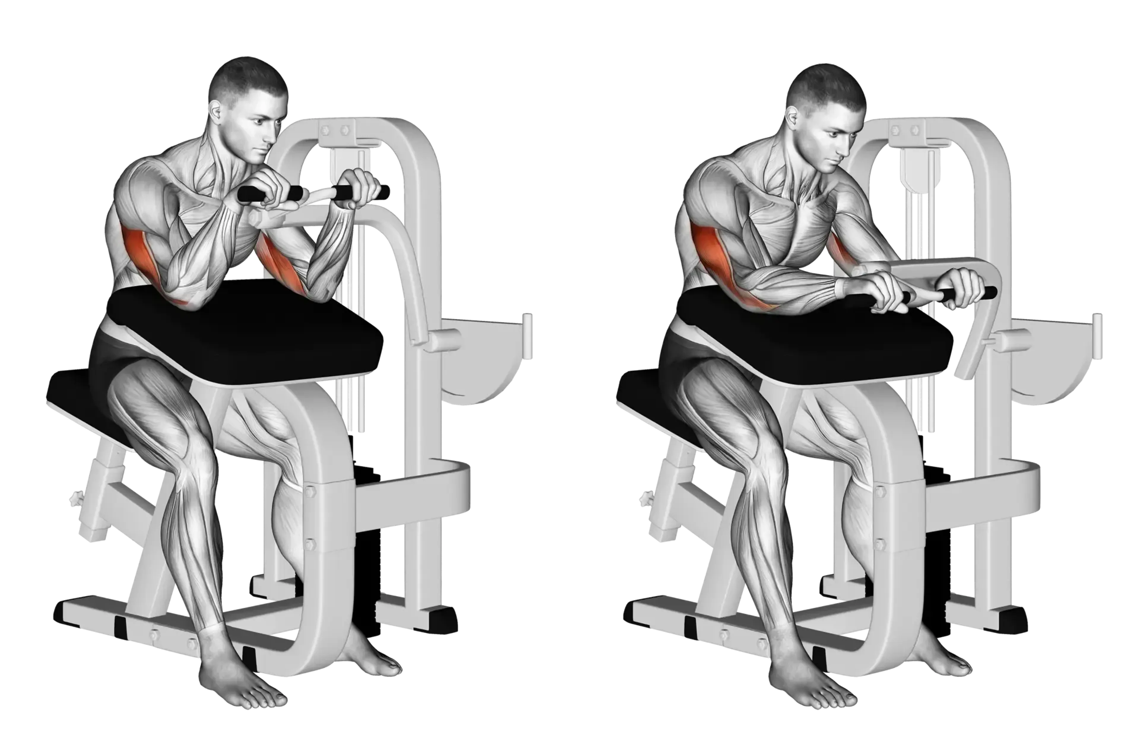 Machine Triceps Extension