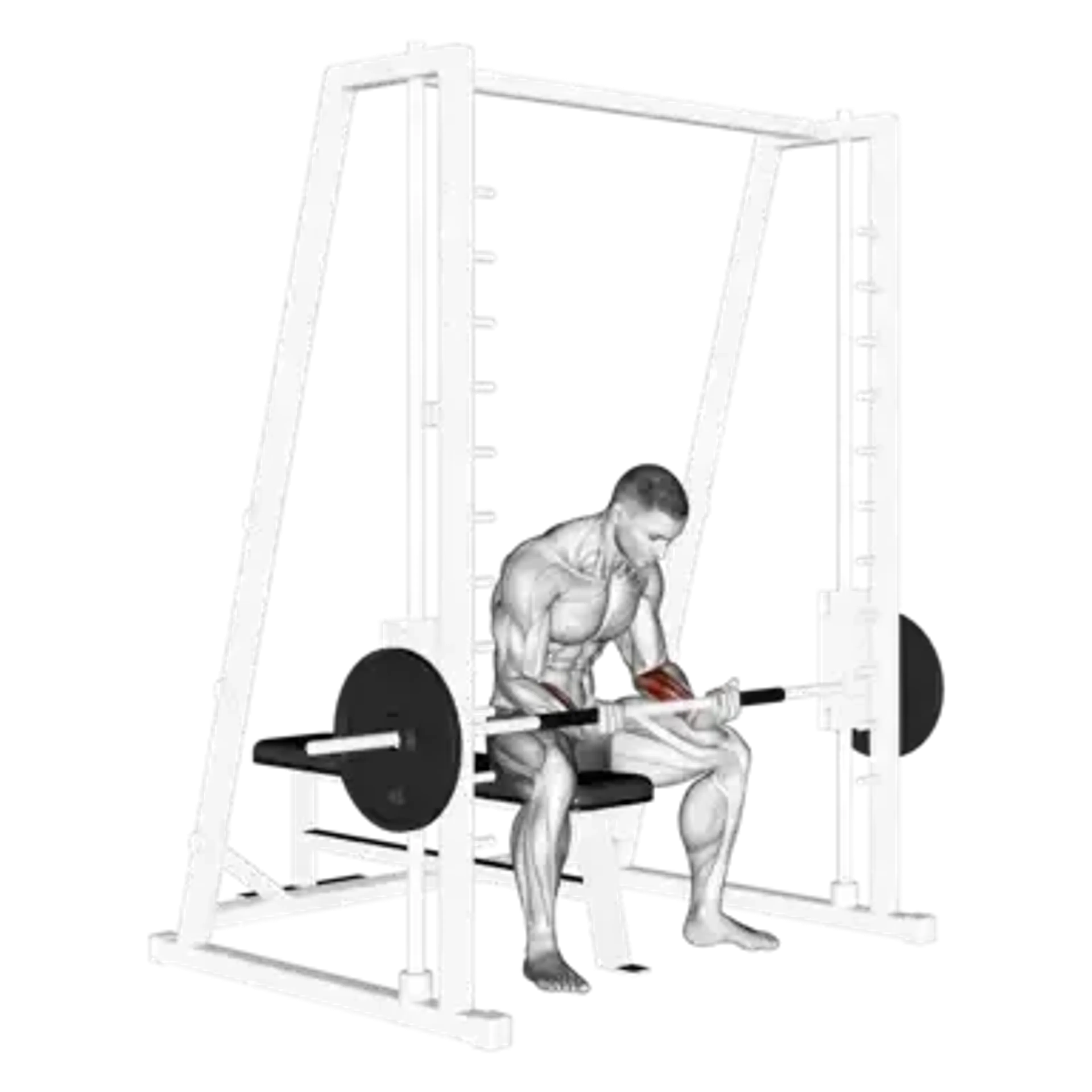 Smith Machine Wrist Curl
