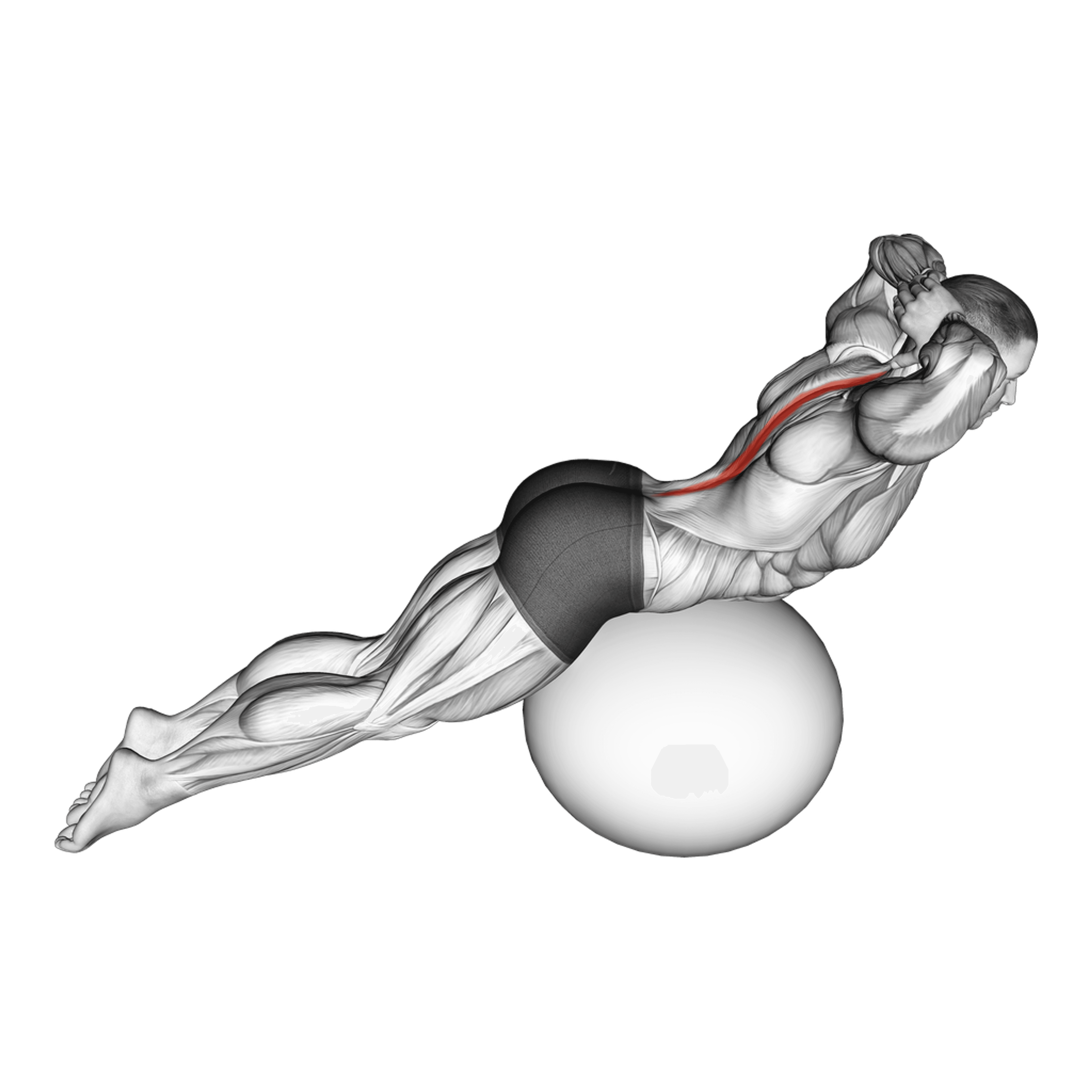 Exercise Ball Back Extension