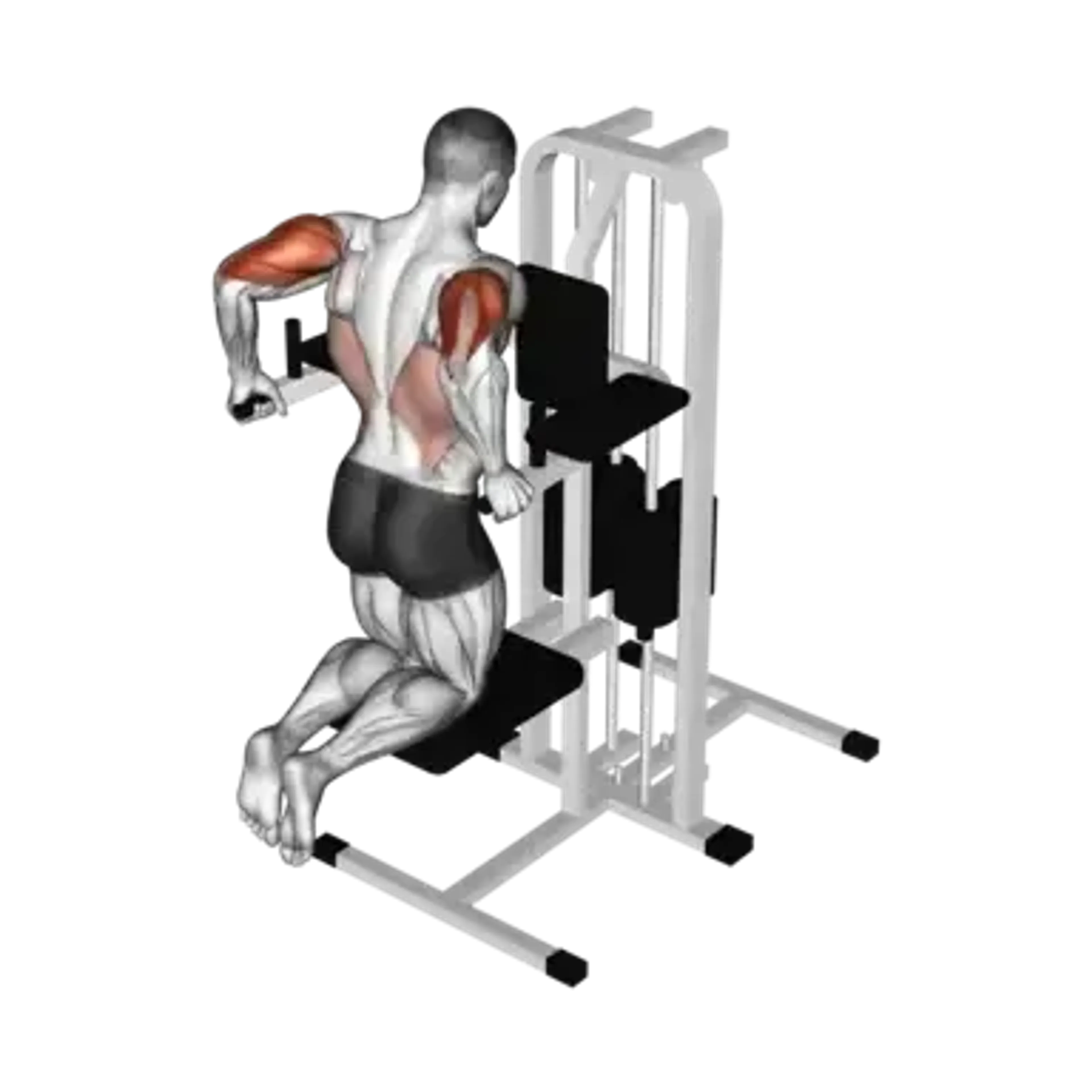 Machine Assisted Triceps Dip