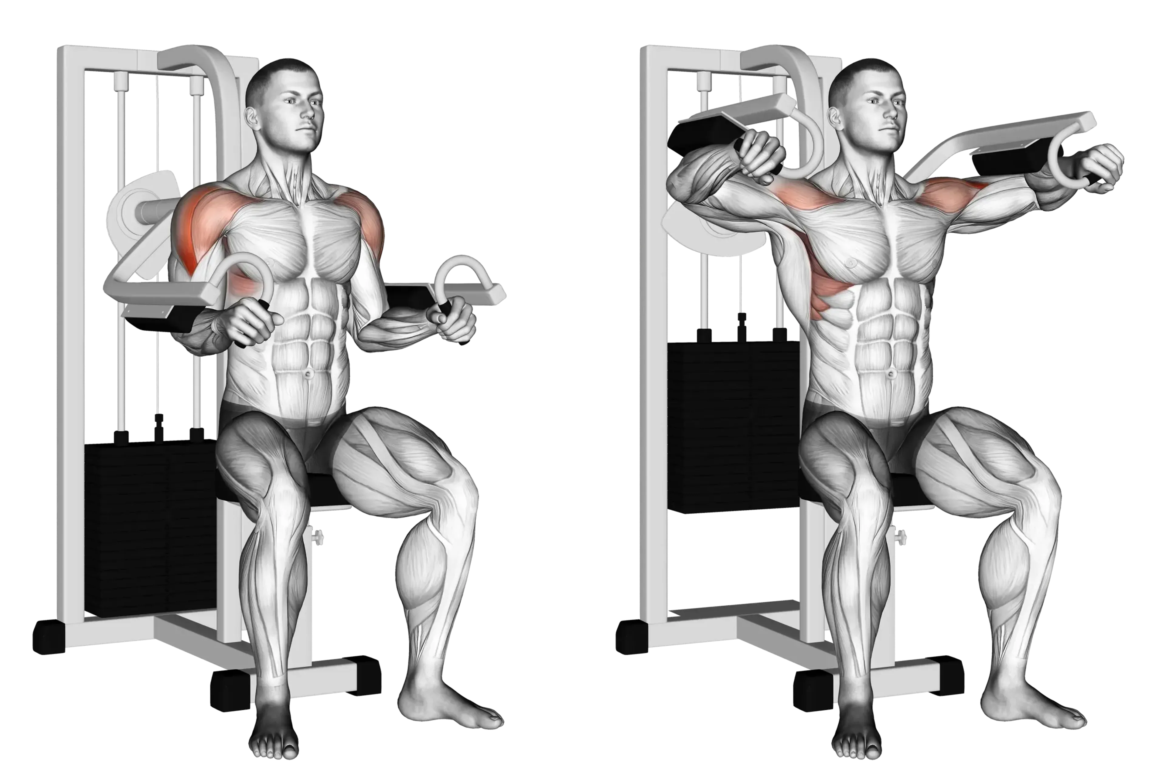 Machine Lateral Raise