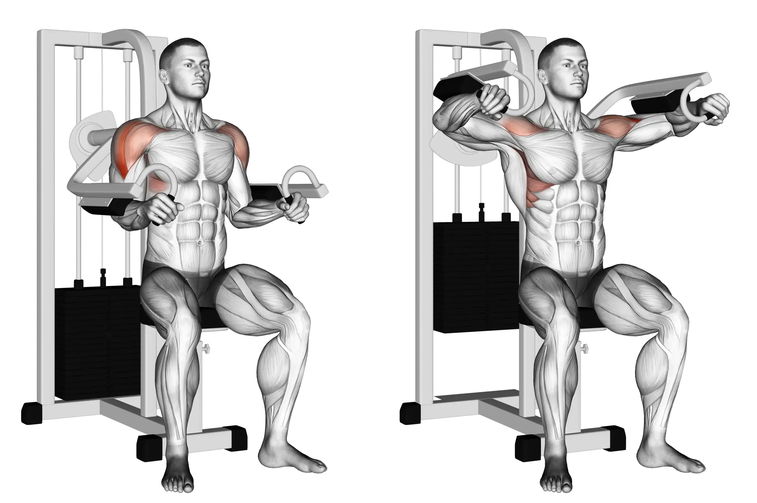 Machine Lateral Raise Guide Muscles Worked Tips Athlemove Machine Lateral Raise Guide Muscles Worked Tips Athlemove