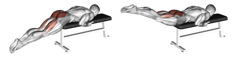 Reverse Hyperextension: Guide, Muscles Worked, Tips | Athlemove