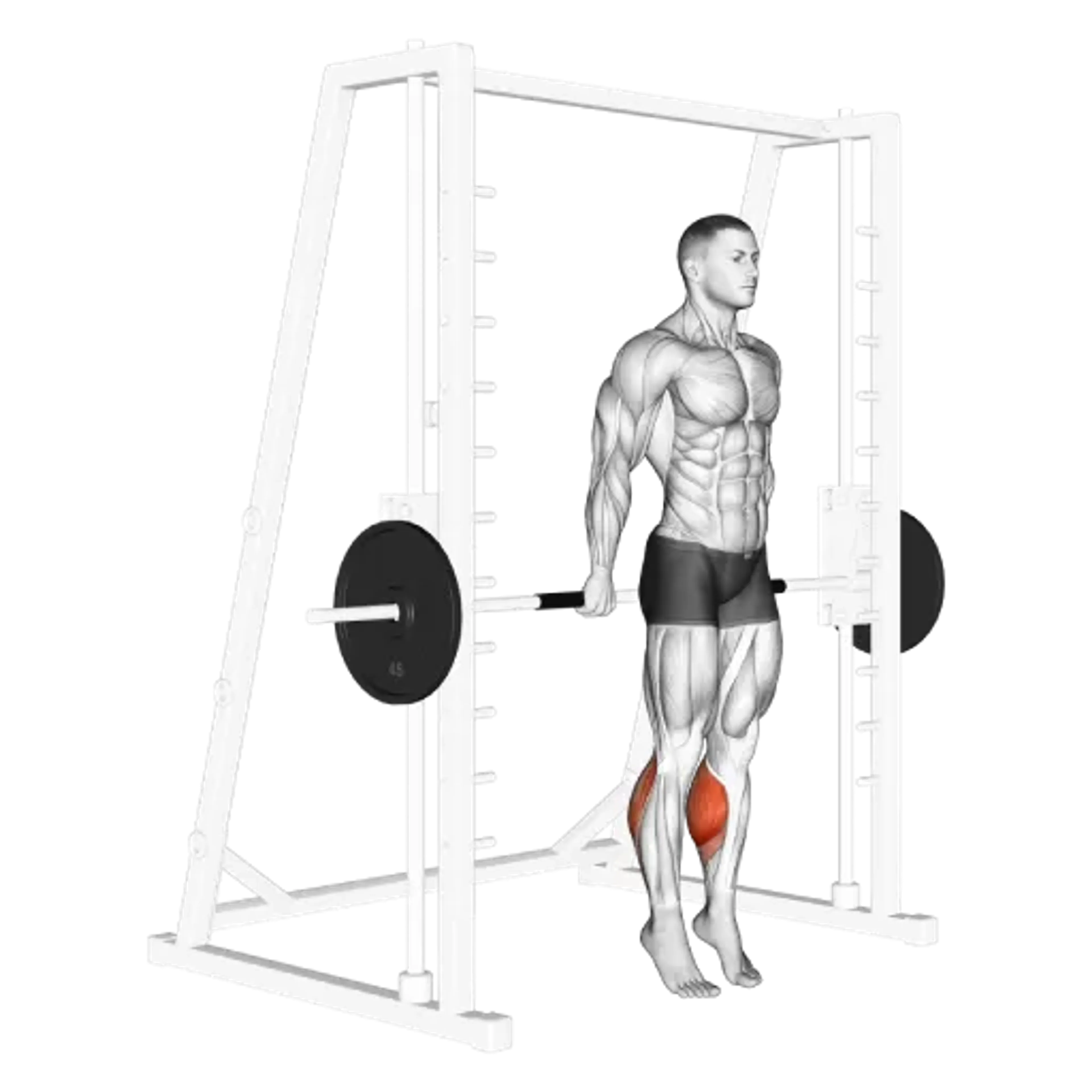Smith Machine Reverse Calf Raise