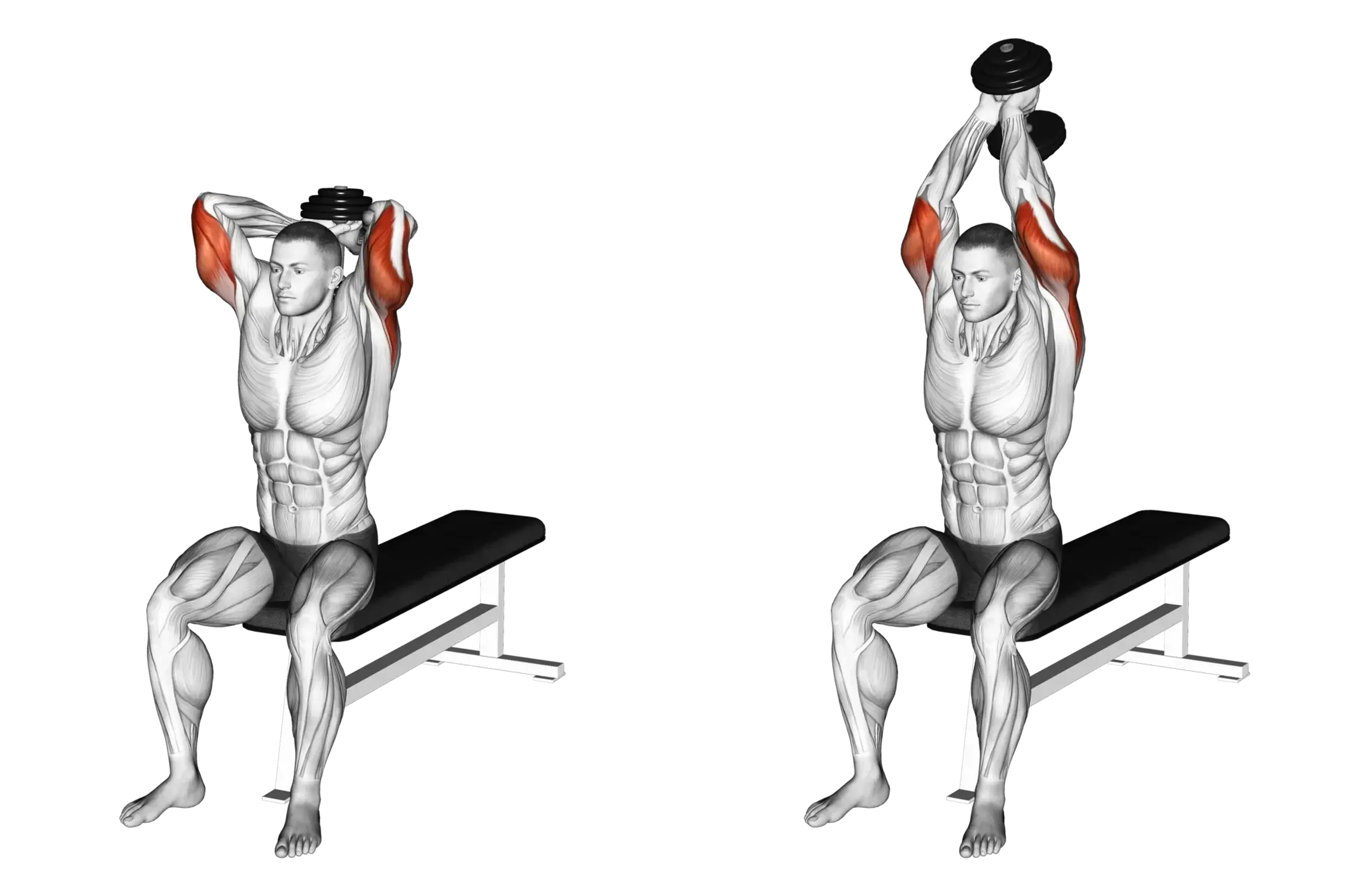 Dumbbell Seated Triceps Extension