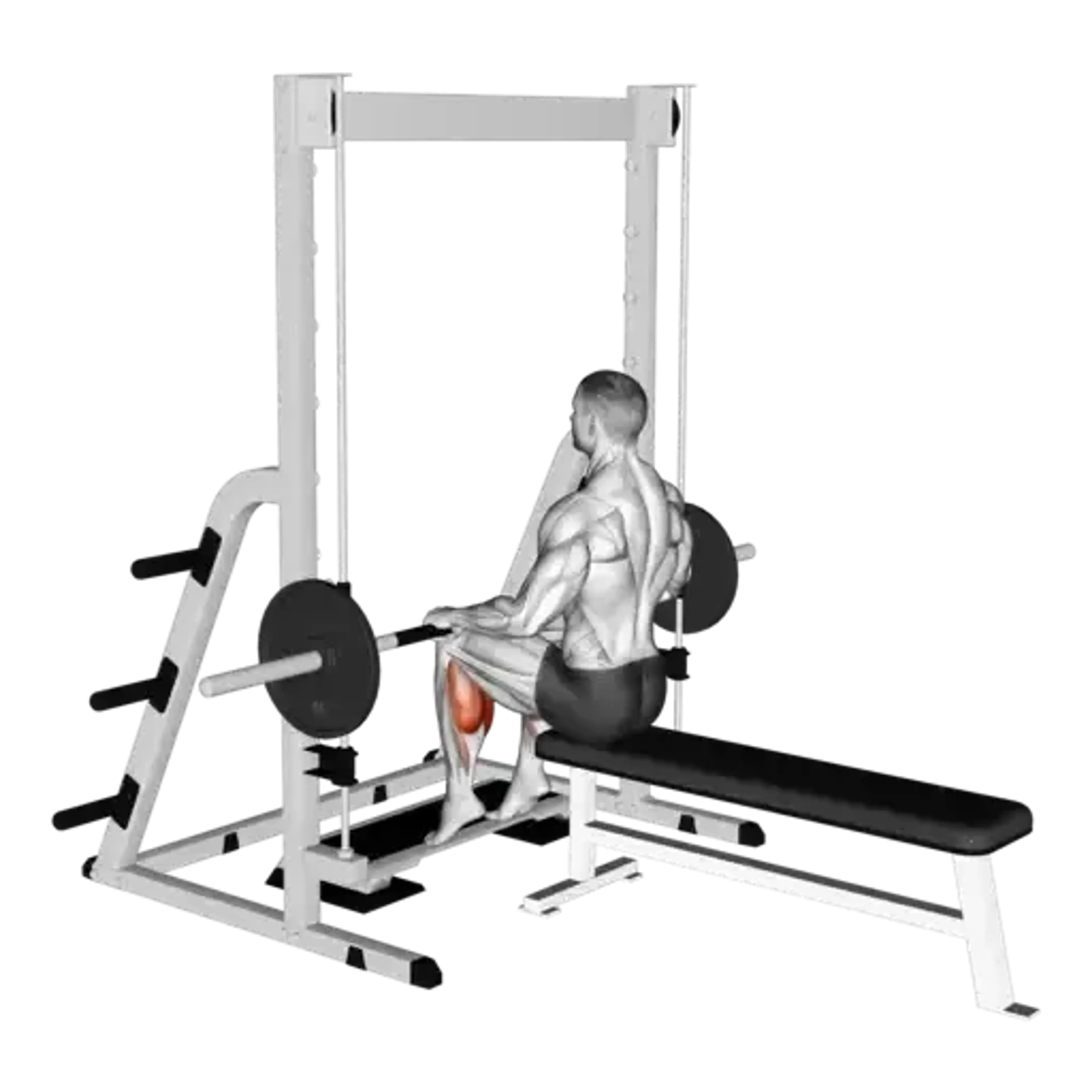 Smith Machine Seated Calf Raise