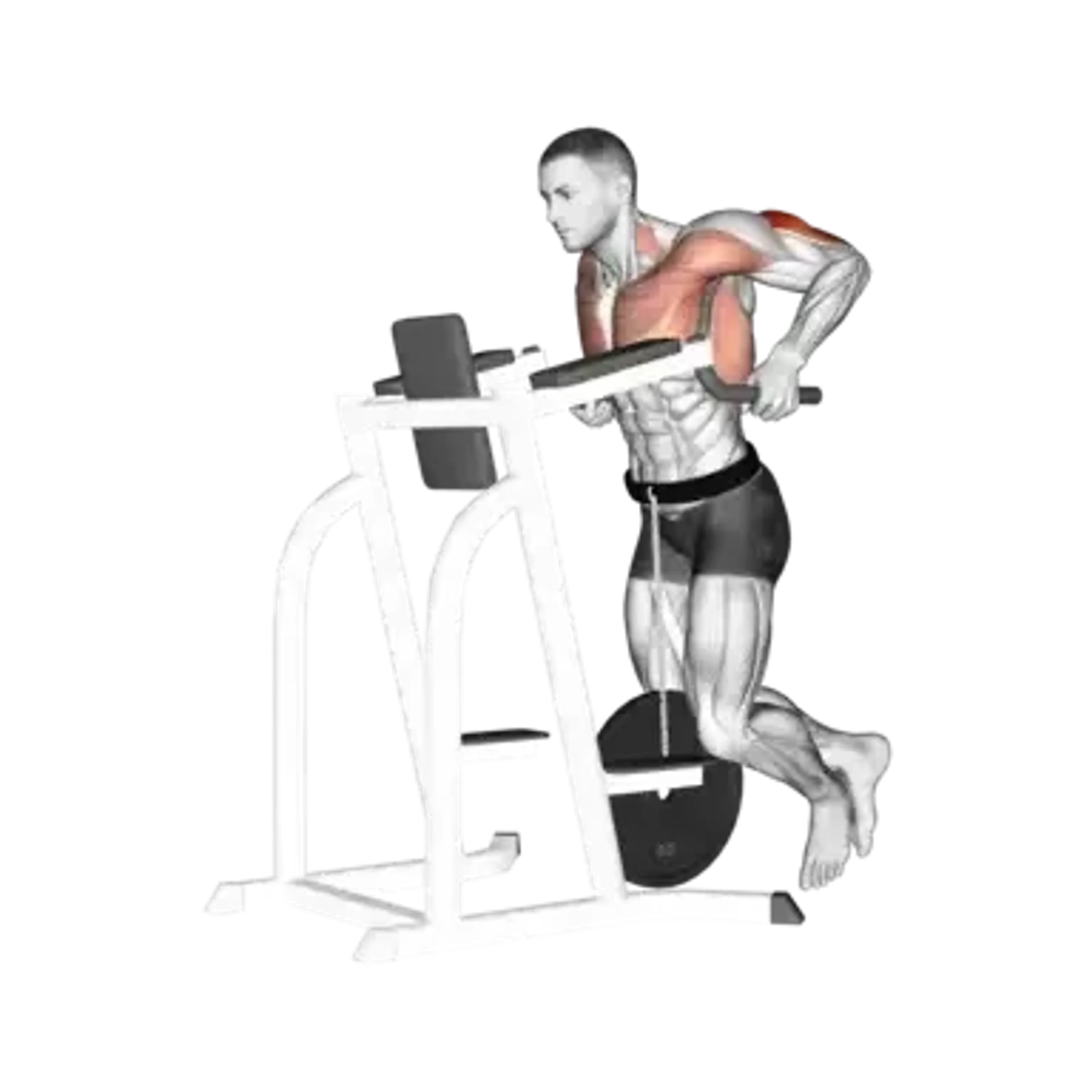 Weighted Triceps Dip