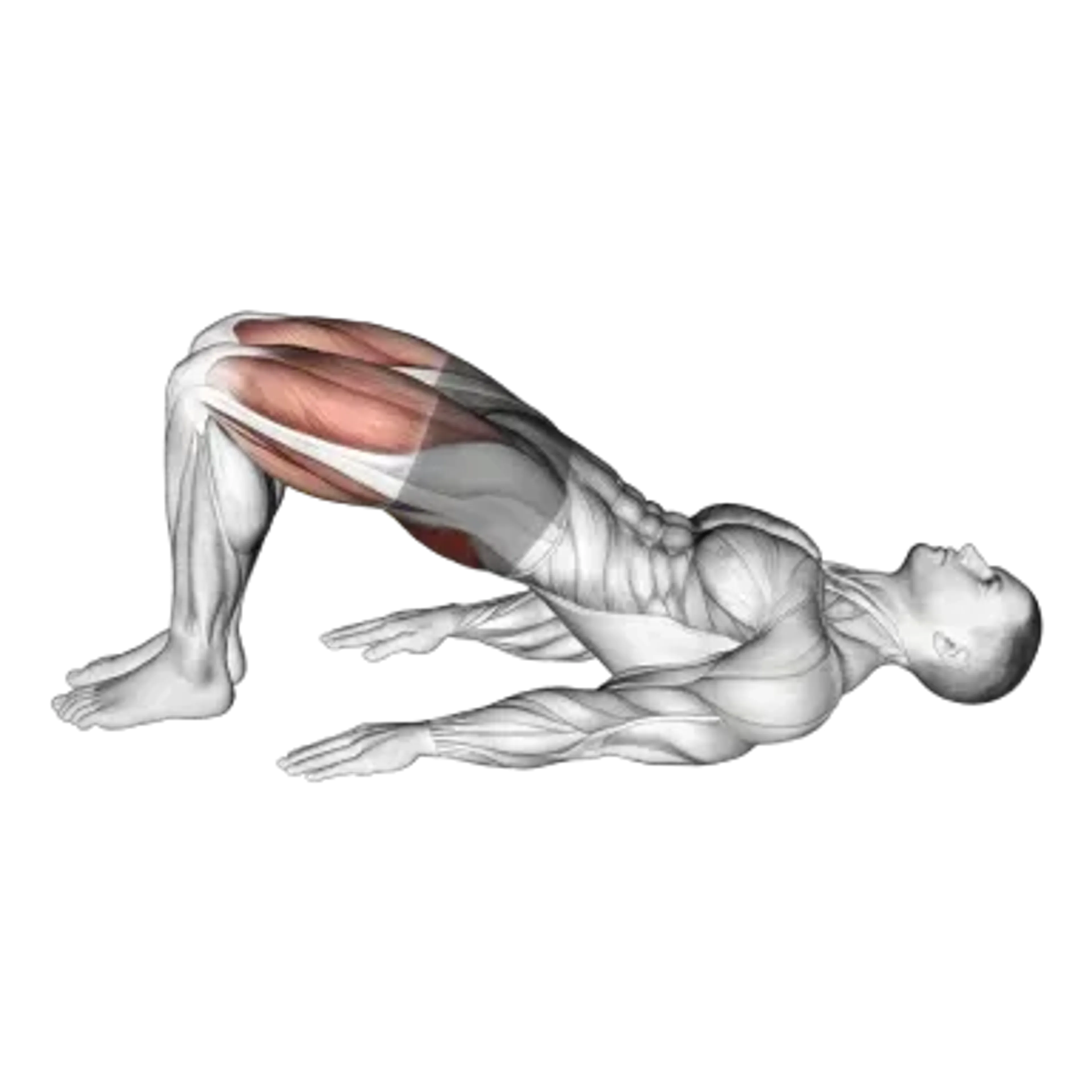 Glute Bridge