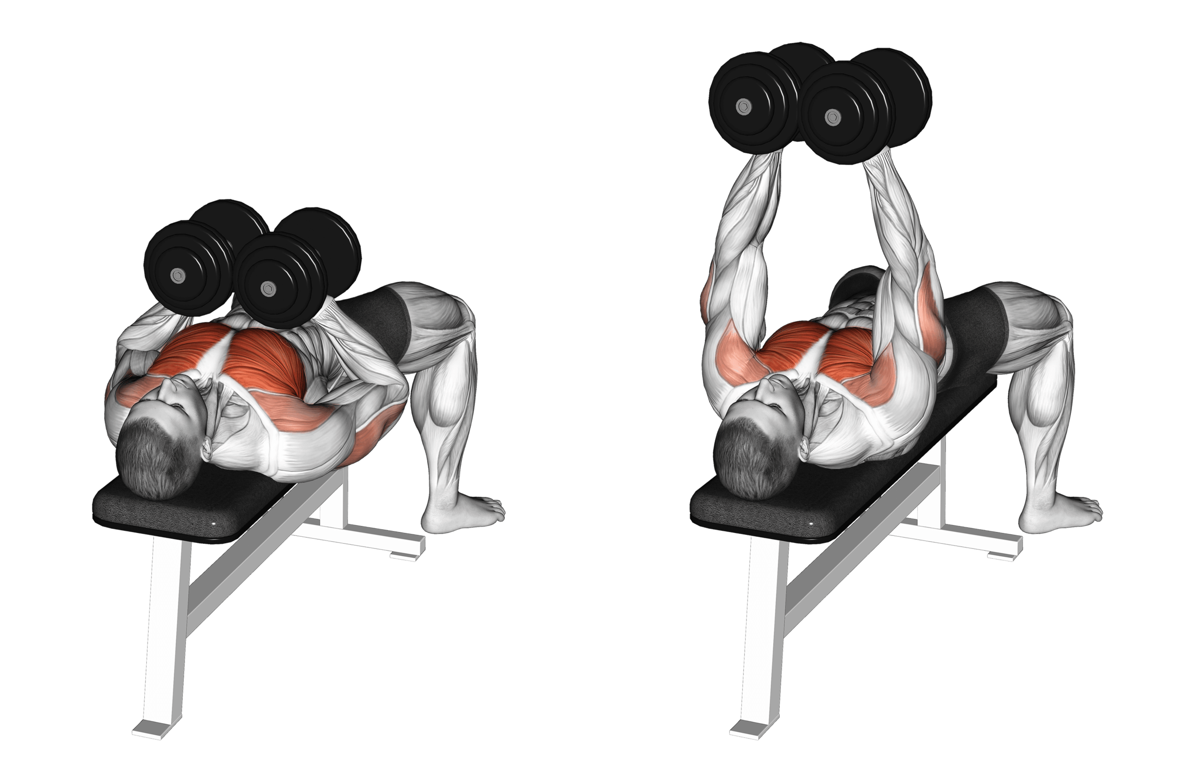 Dumbbell Squeeze Press