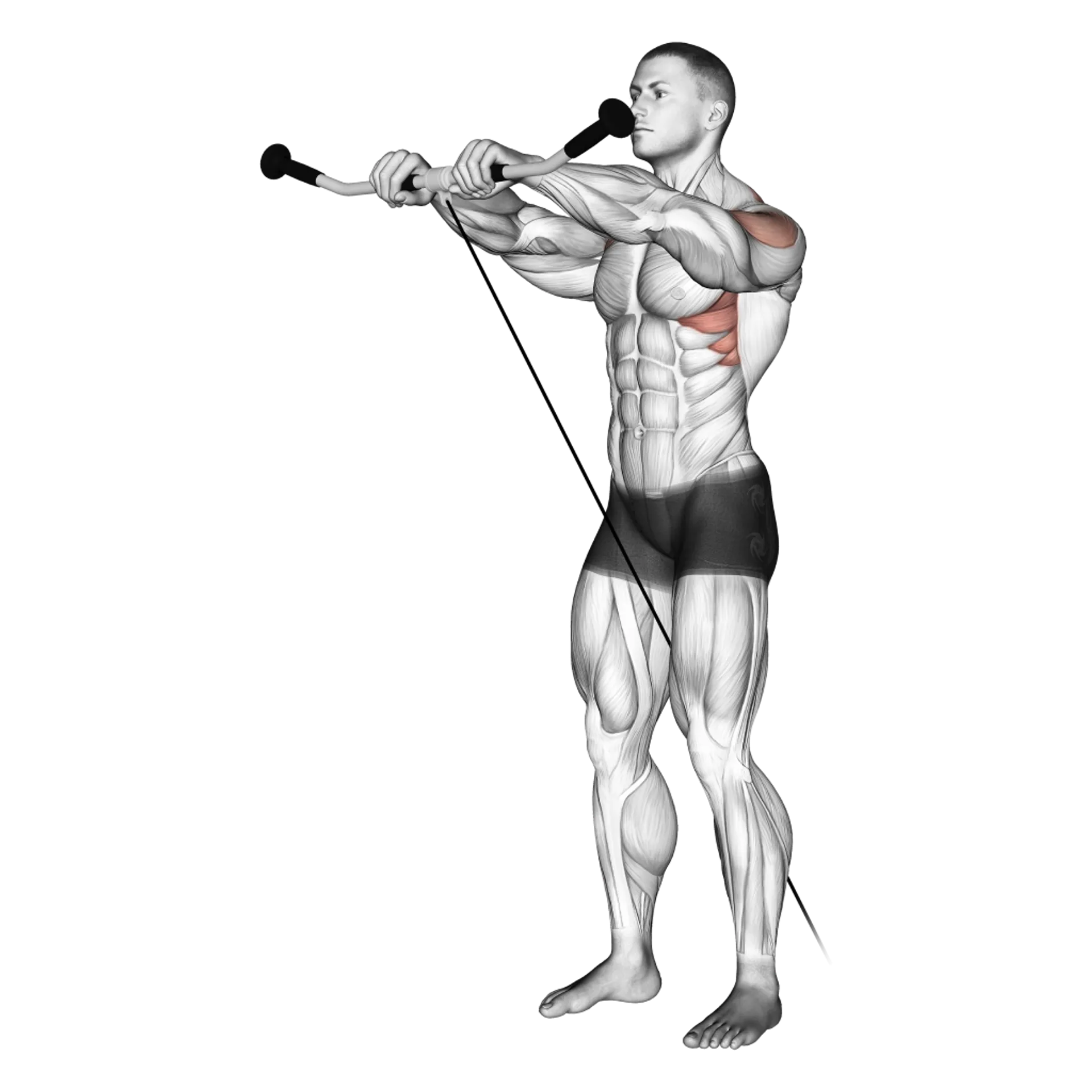 Dumbbell Front Raise: Guide, Muscles Worked, Tips | Athlemove