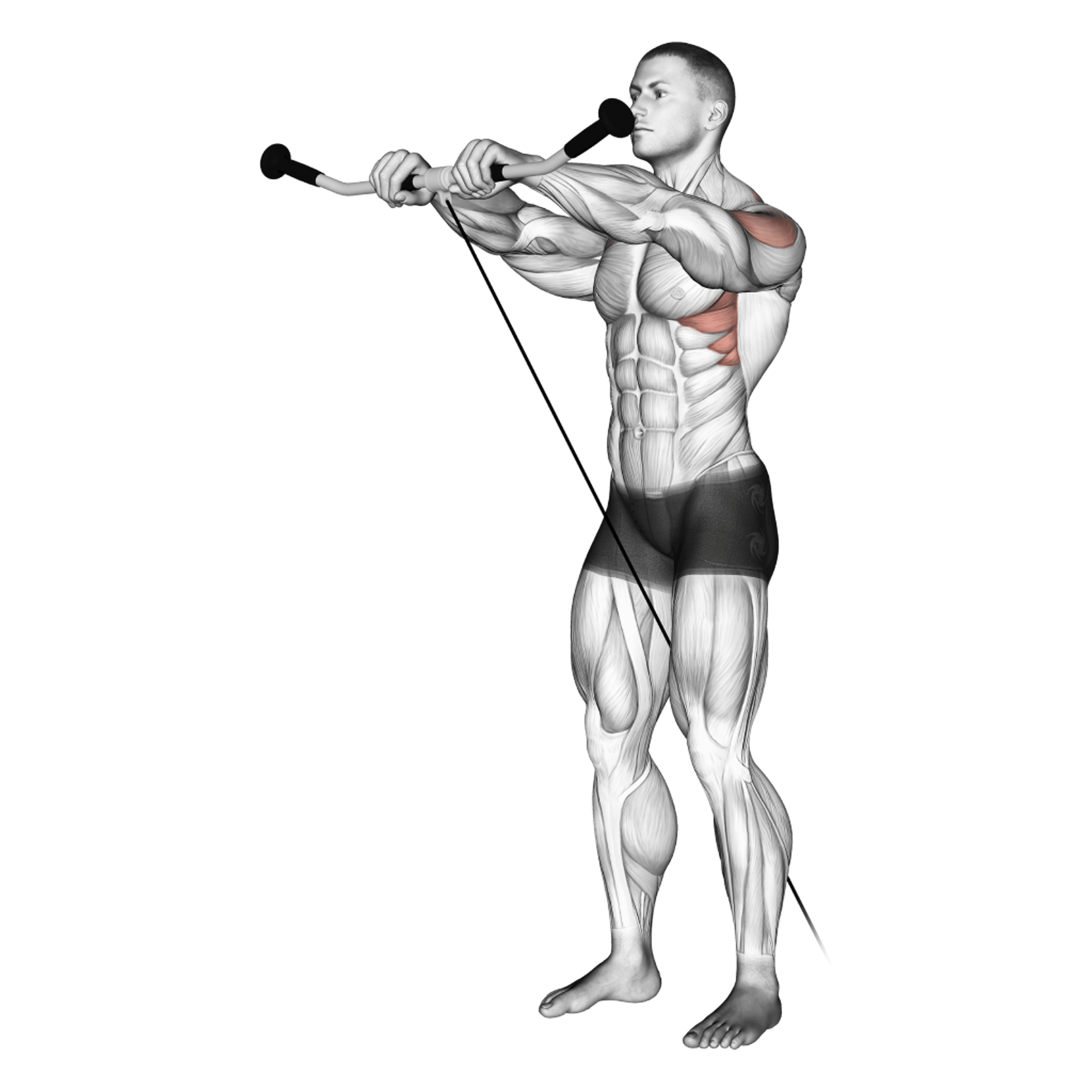 Cable Front Raise