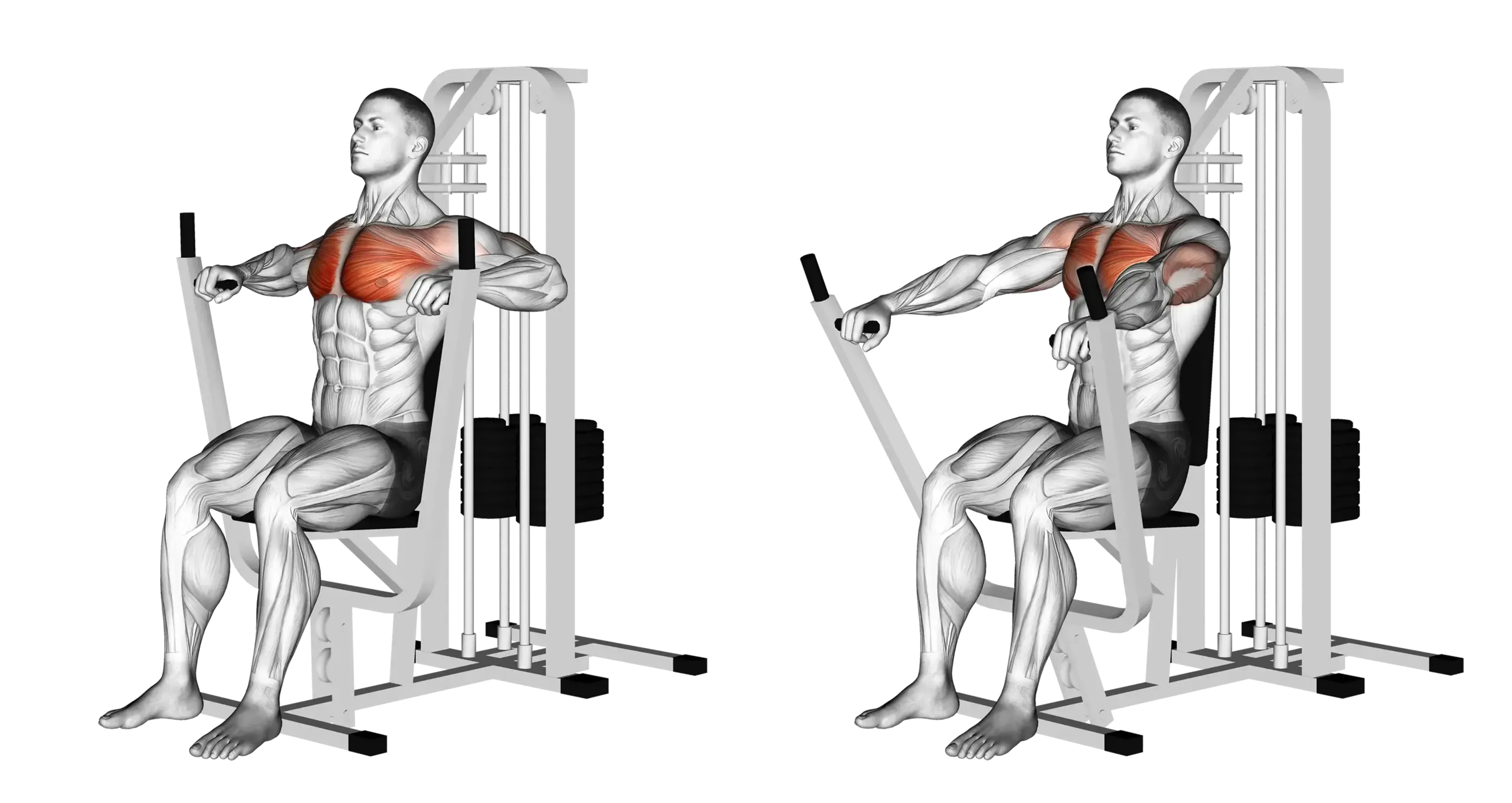 Machine Bench Press