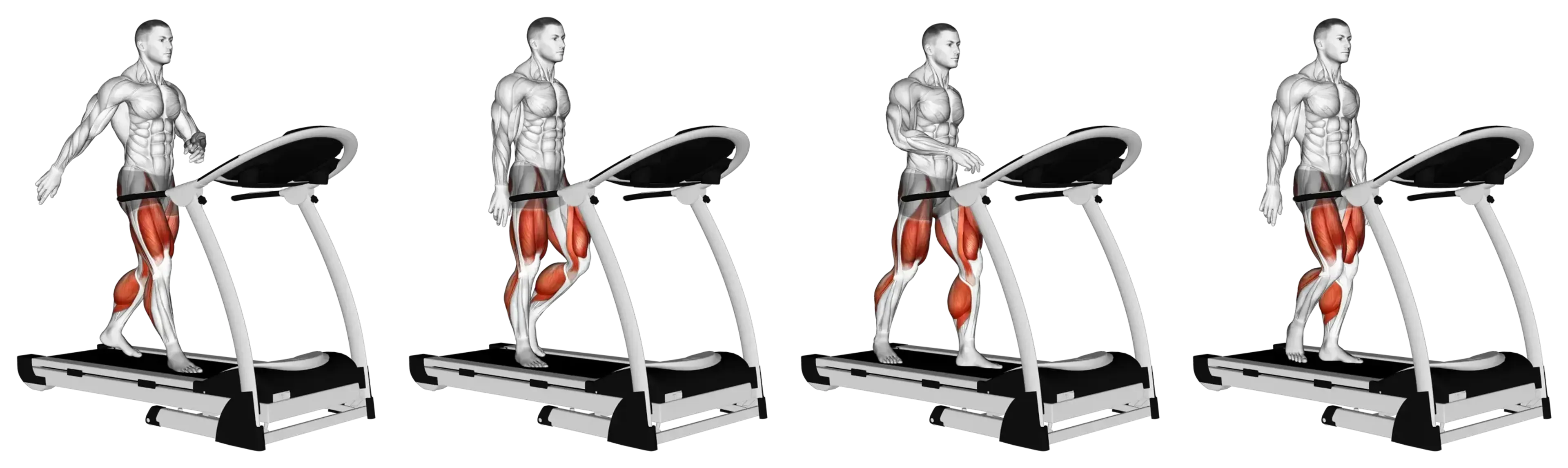 Treadmill Walking