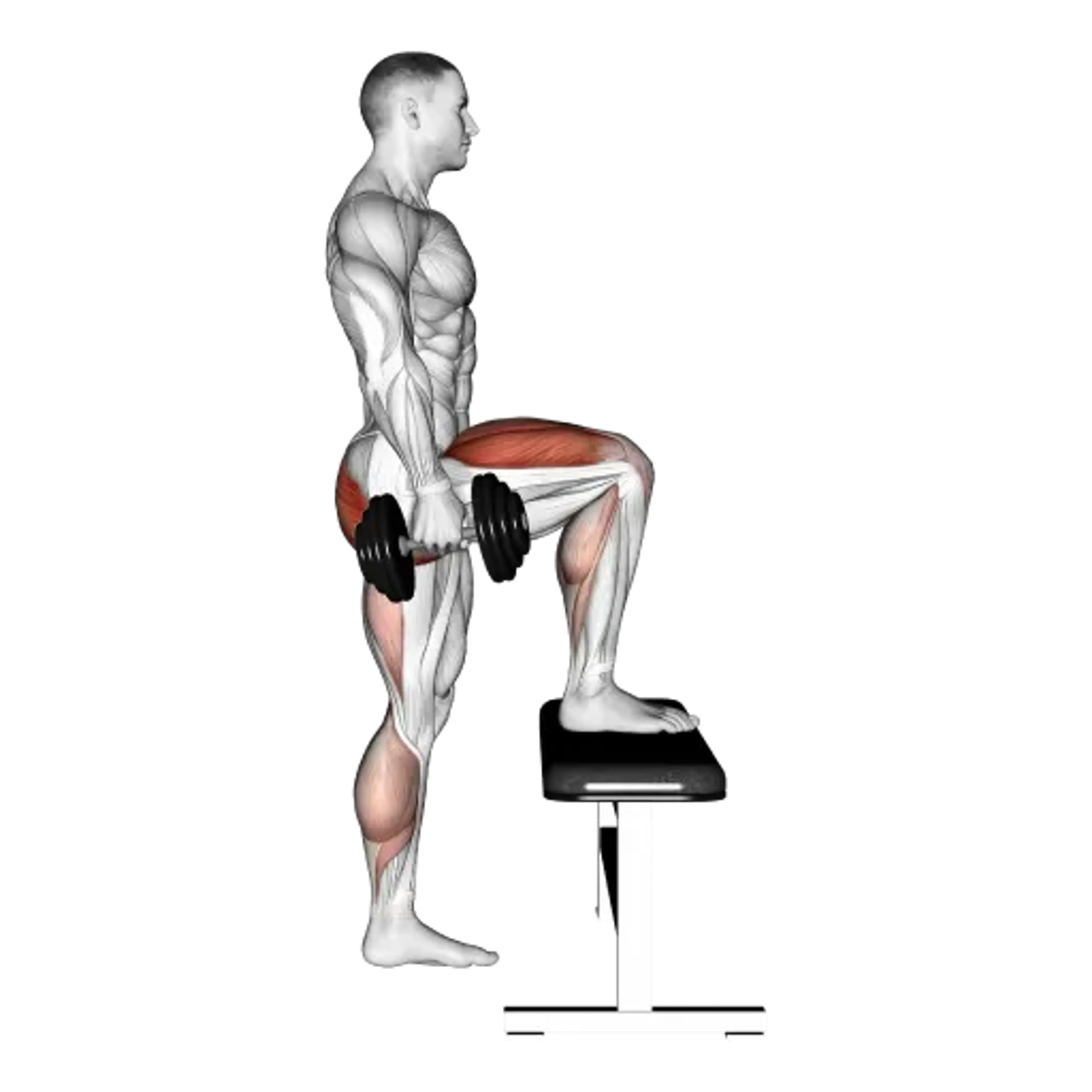 Dumbbell Step-Up