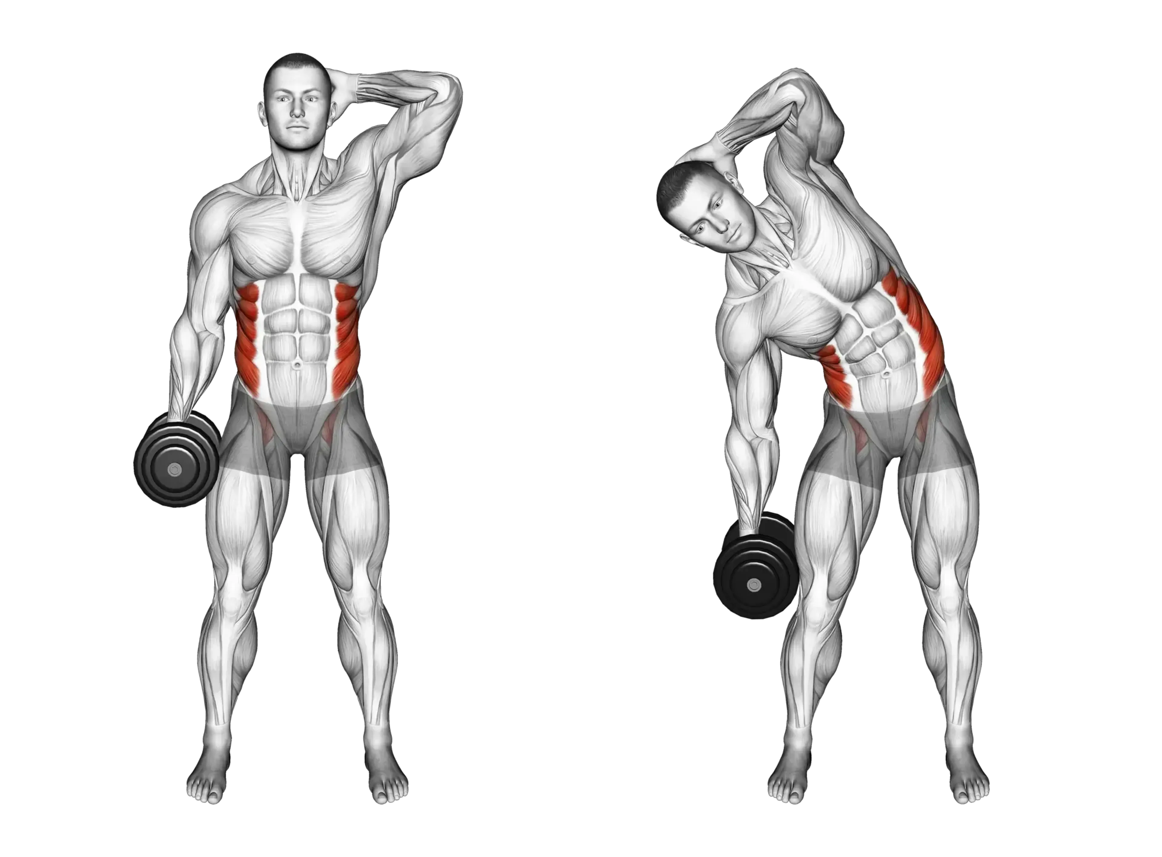 Dumbbell Side Bend