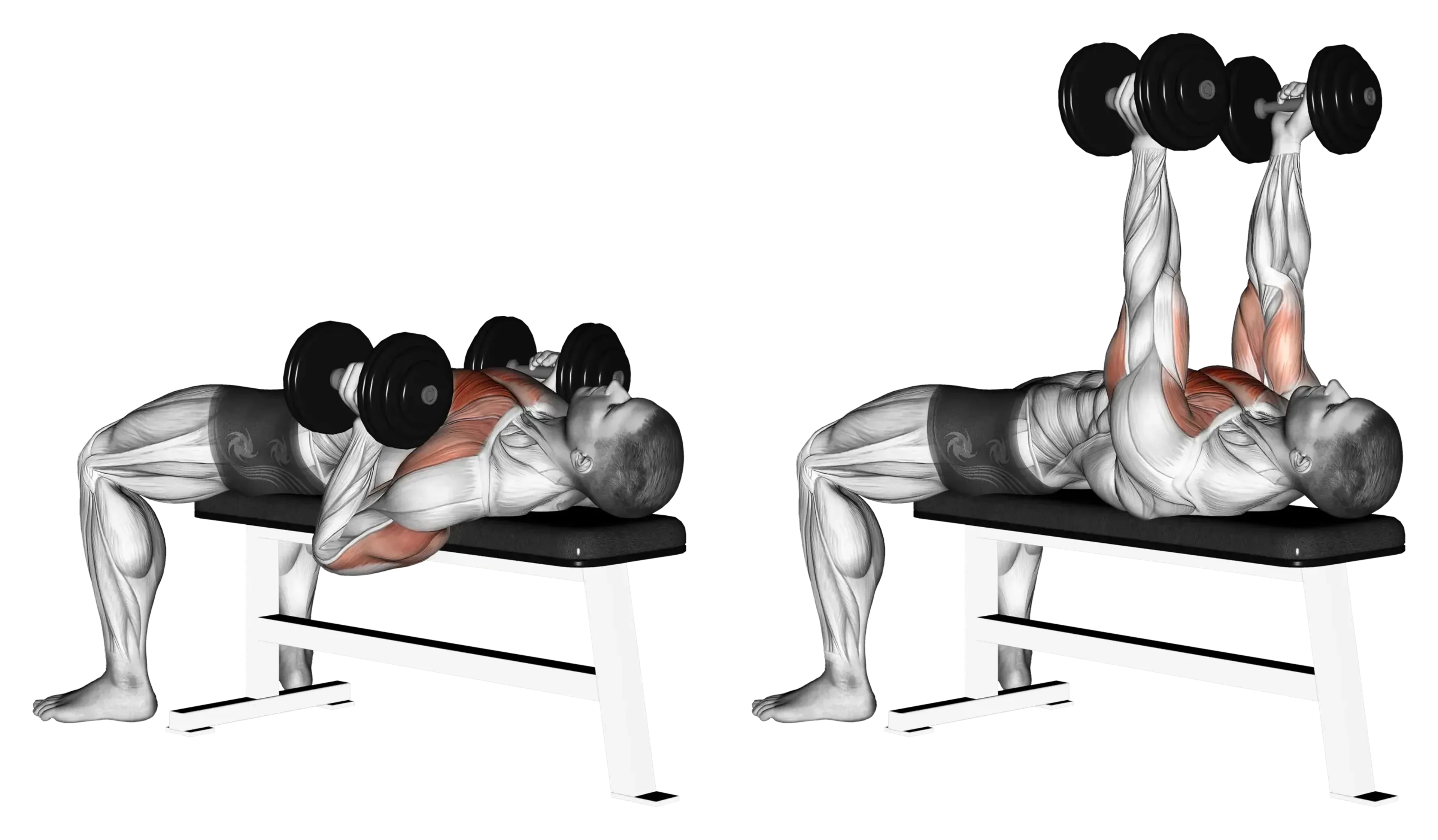 Dumbbell Hammer Bench Press