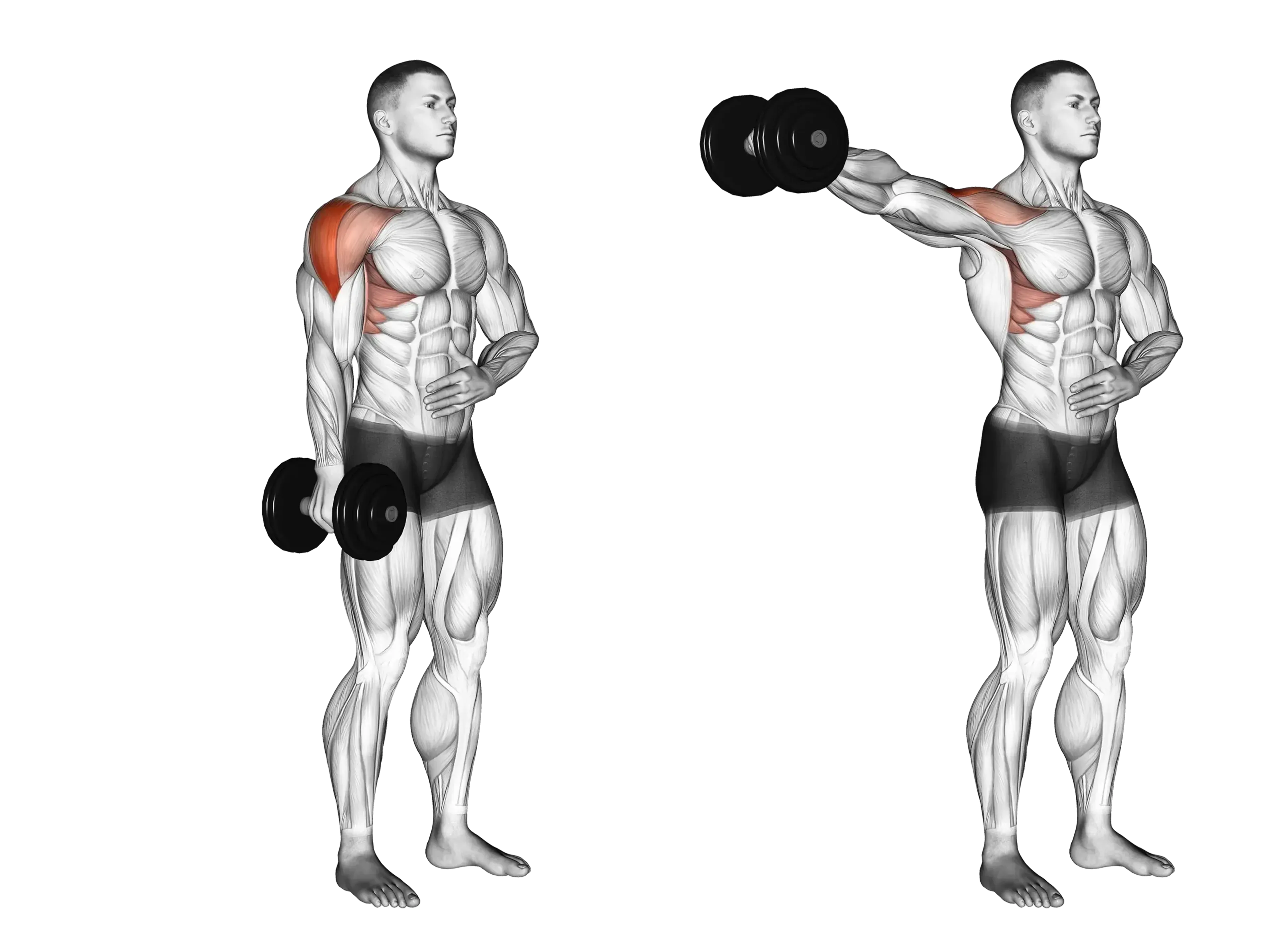 Dumbbell Single-Arm Arm Lateral Raise
