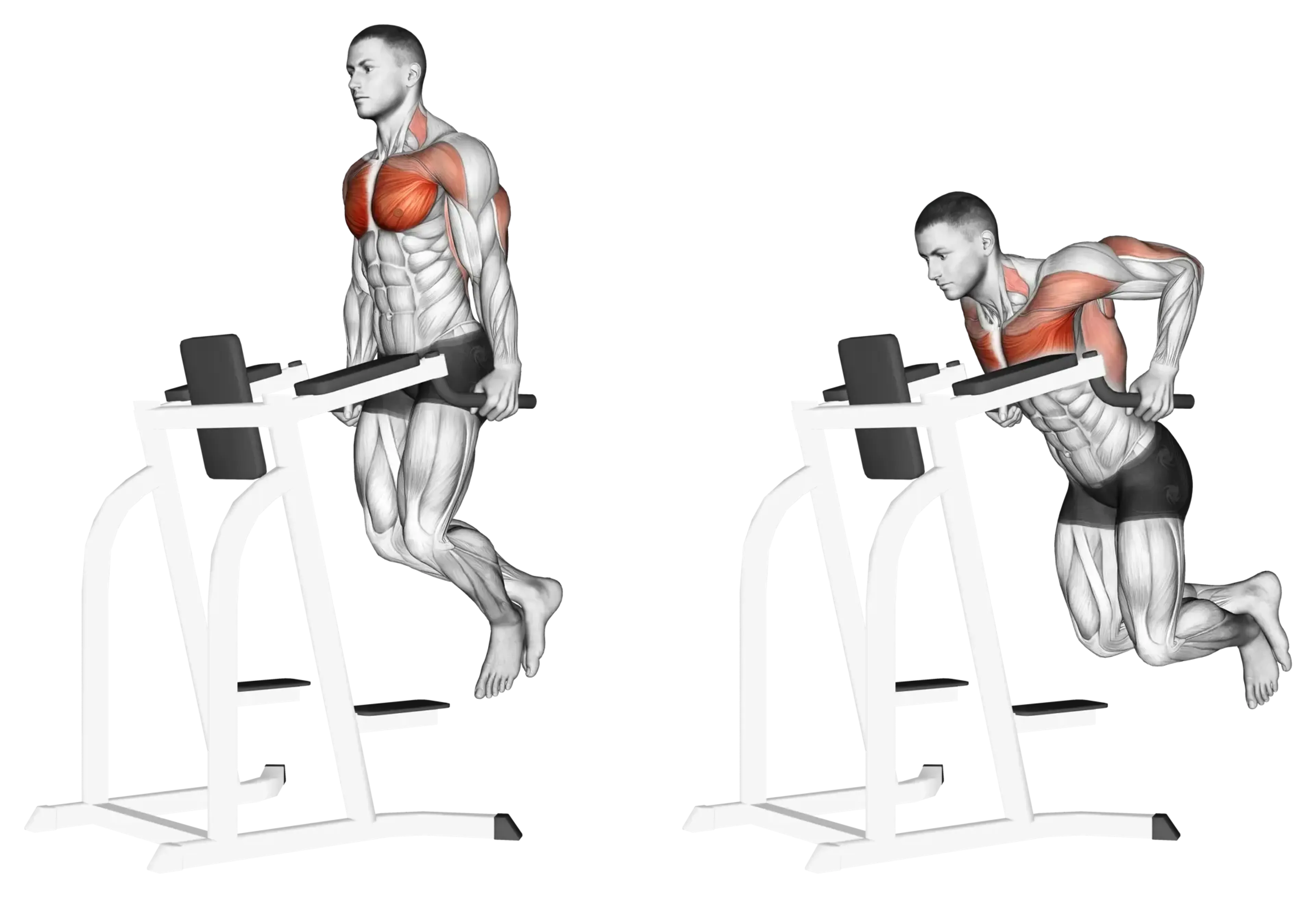 Chest Dip