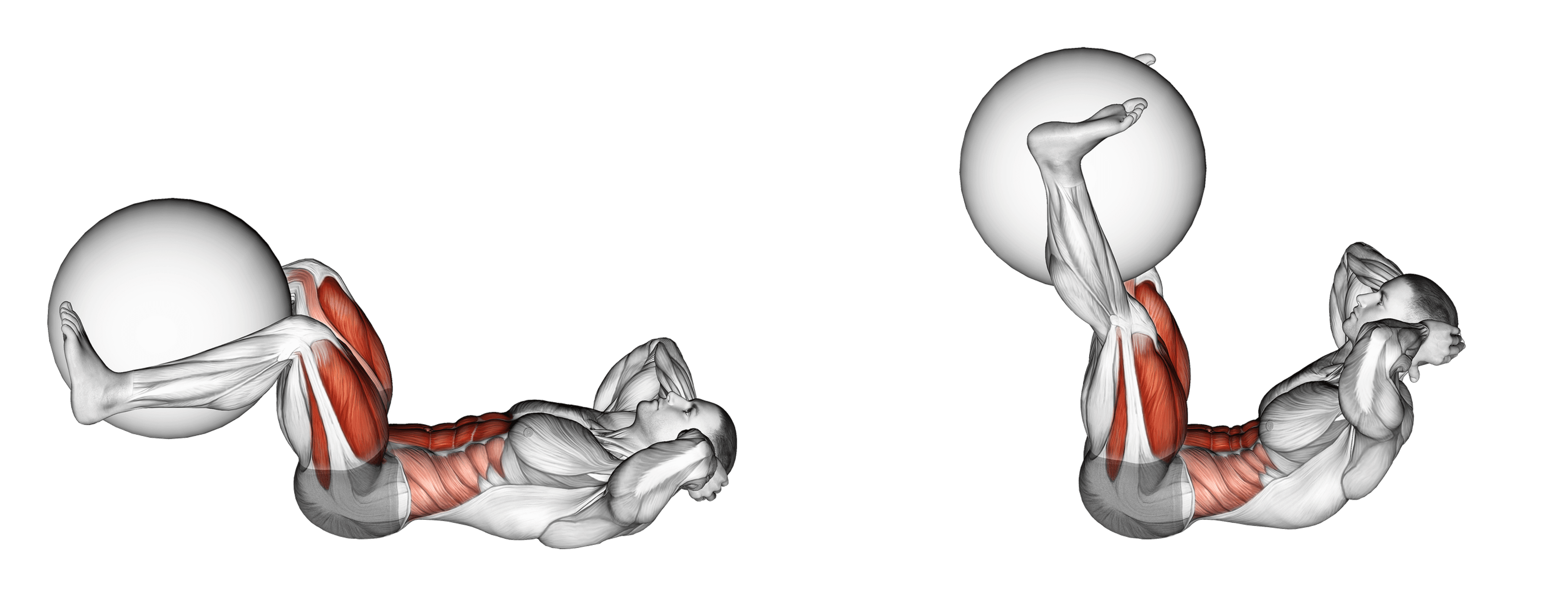 Exercise Ball Leg Extension Crunch