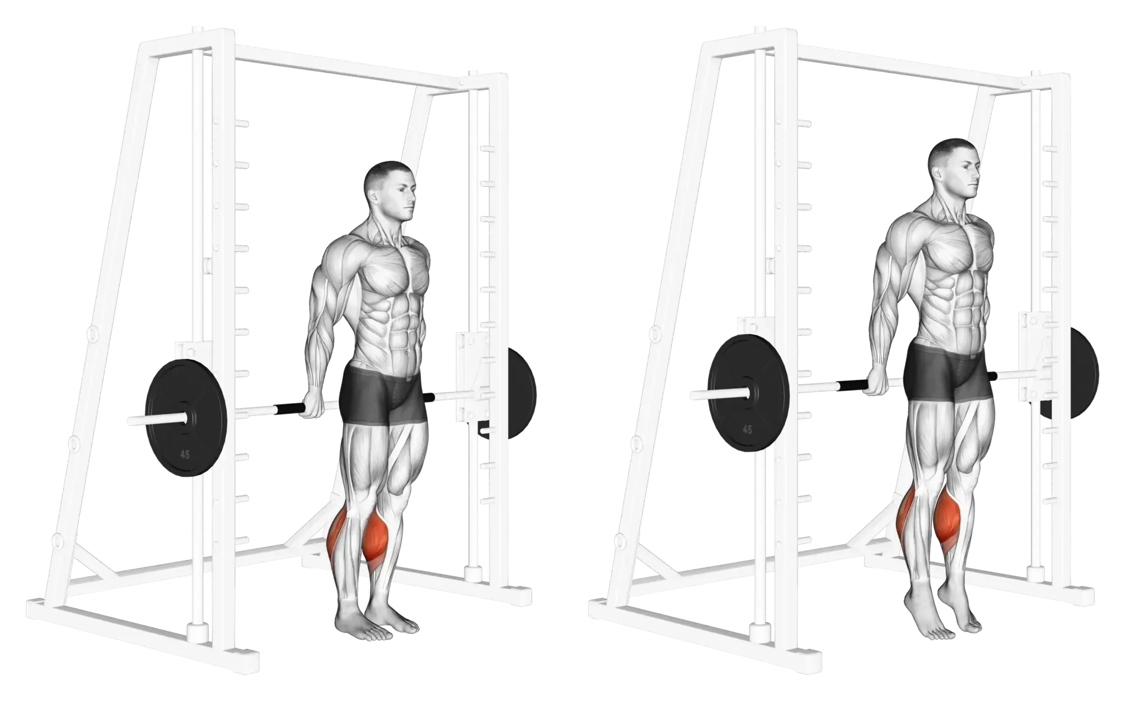 Smith Machine Reverse Calf Raise