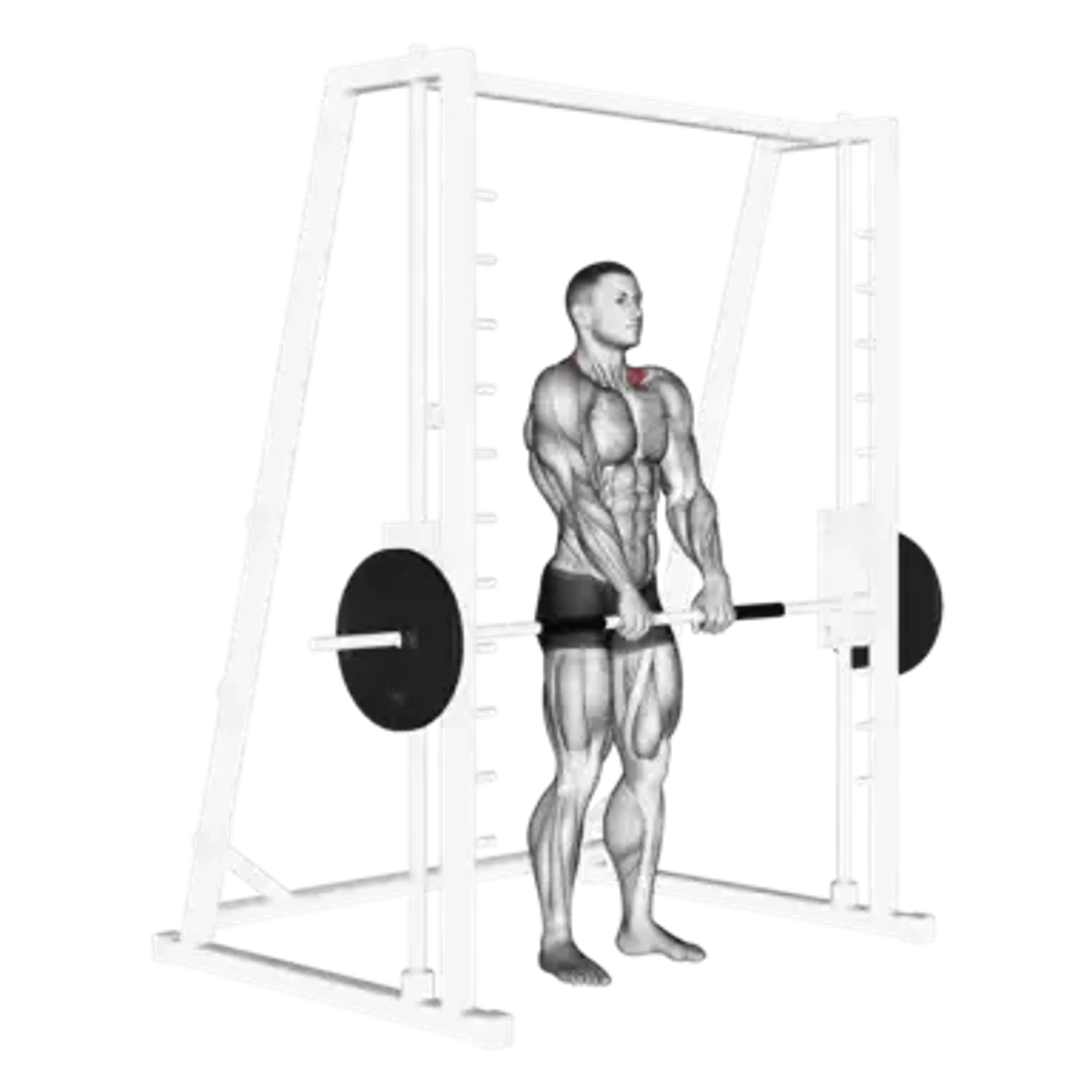 Smith Machine Shrug