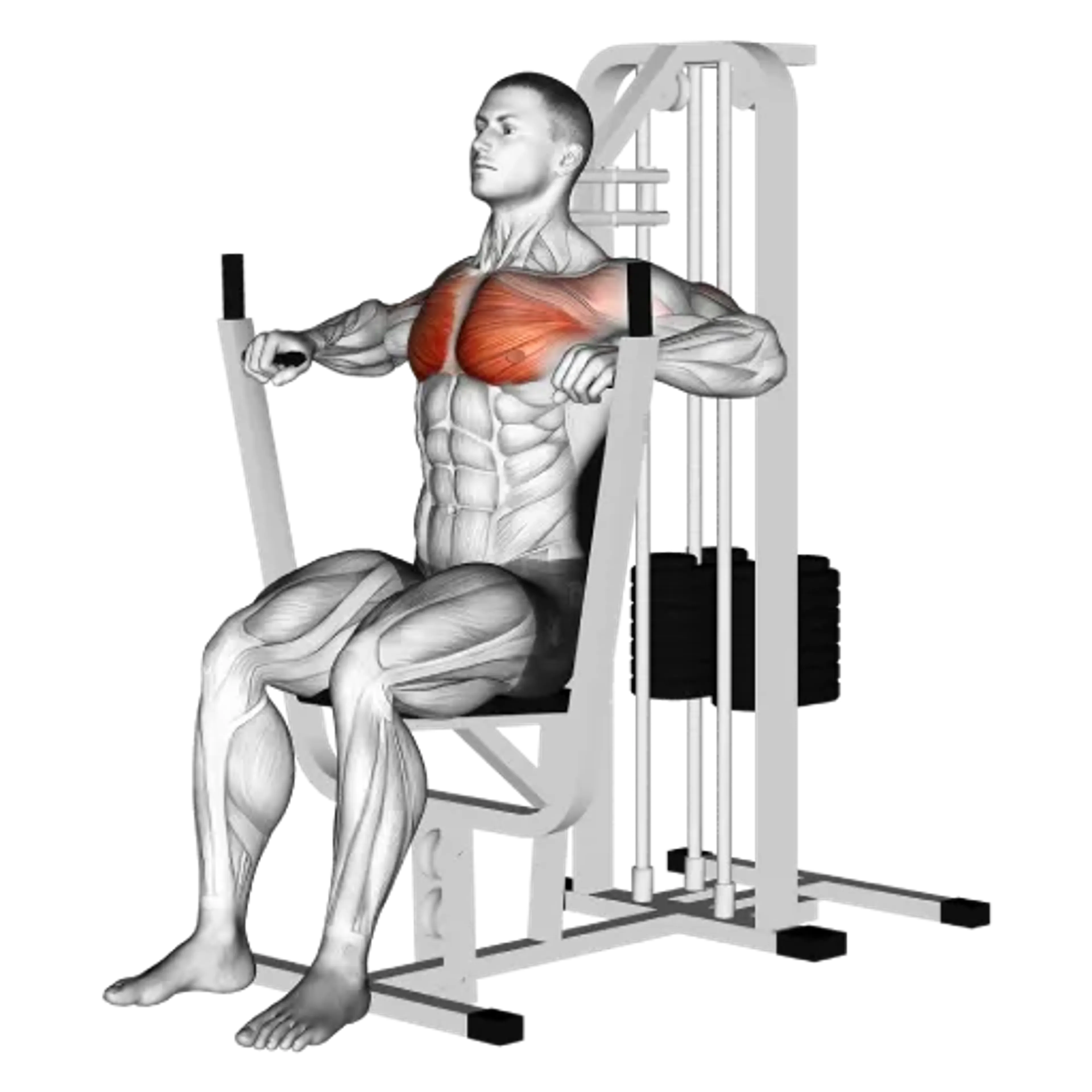 Machine Bench Press