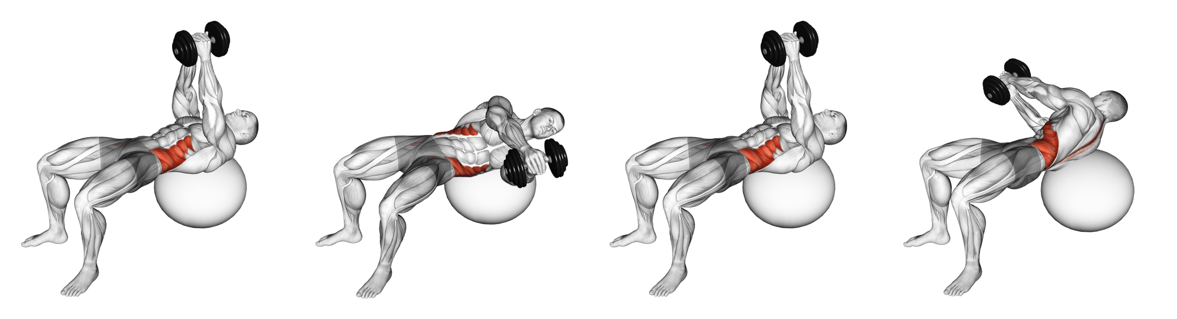 Dumbbell Exercise Ball Russian Twist